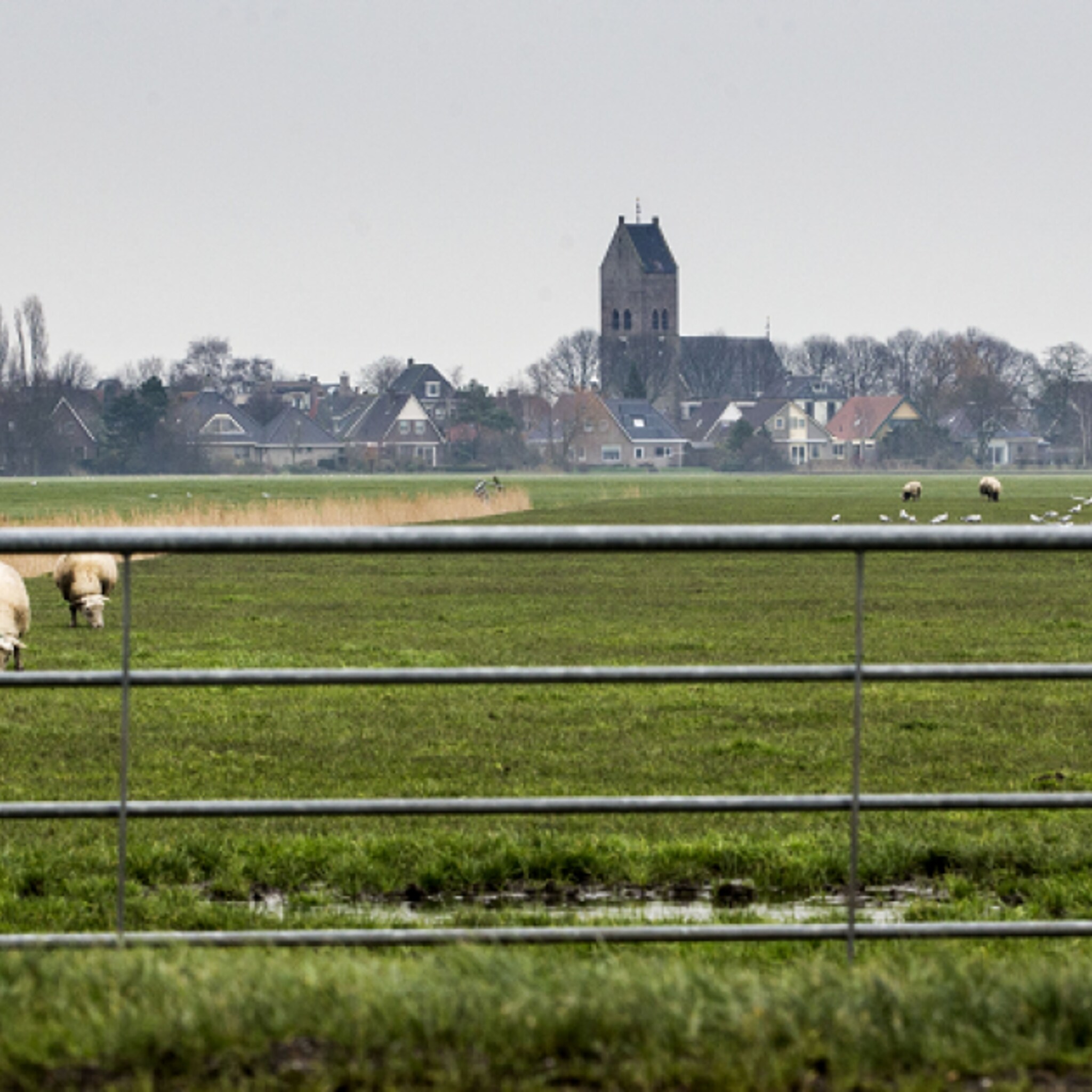 toeristische ondernemers krijgen safaritour in friesland