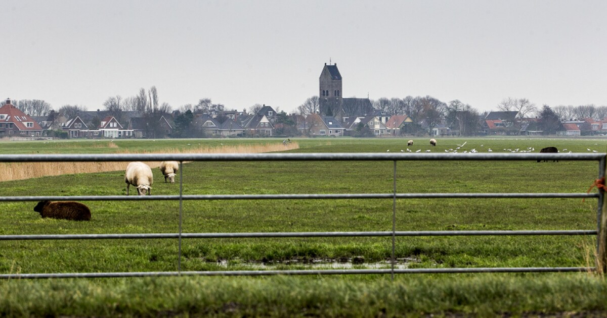 beeld deondernemer