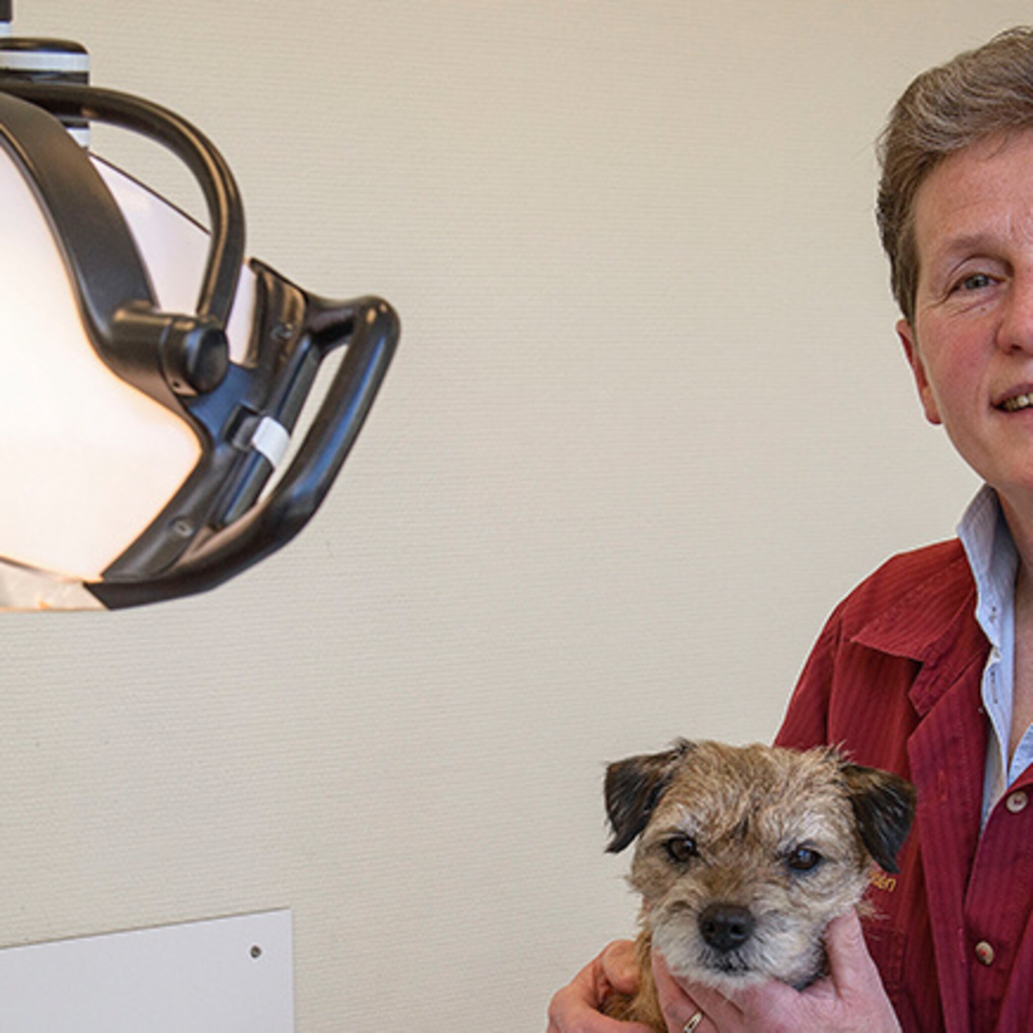 janny zorgt al 40 jaar voor alle dieren in rijssen