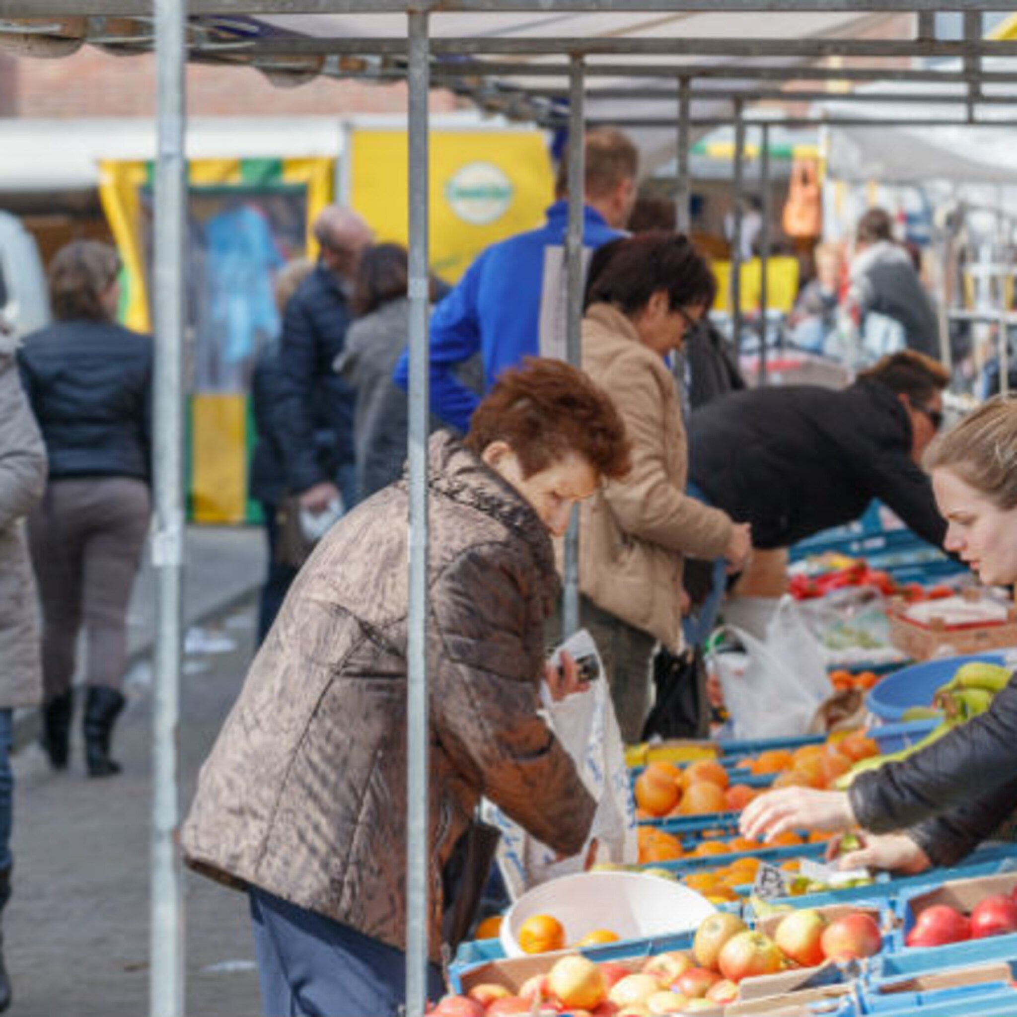 het is best gezellig op tijdelijke marktplaats in sint willebrord