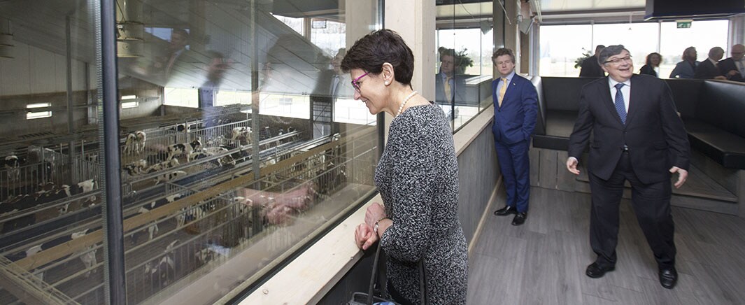 beeld deondernemer