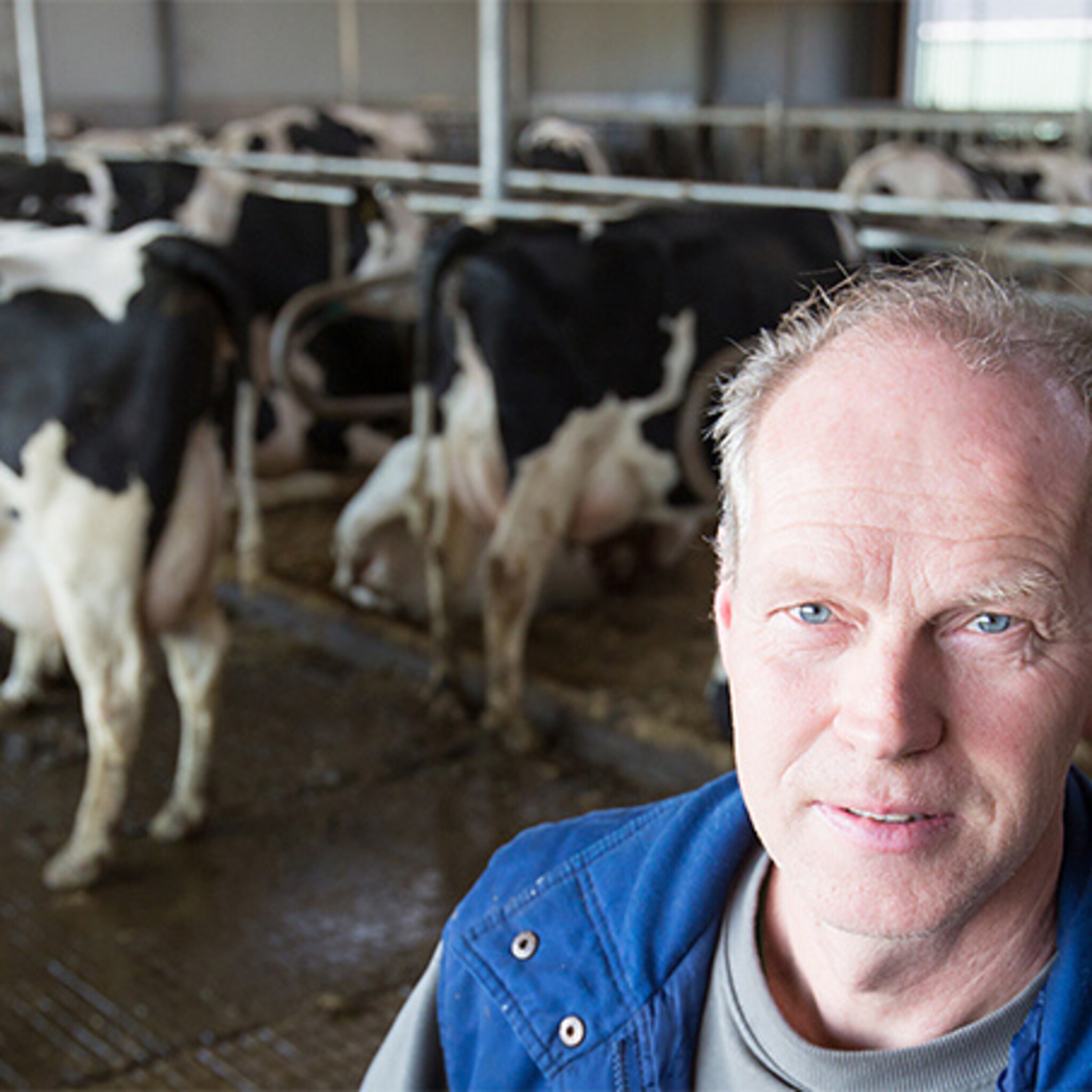 melkveehouder als we al een inkomen hebben zal het minimaal zijn