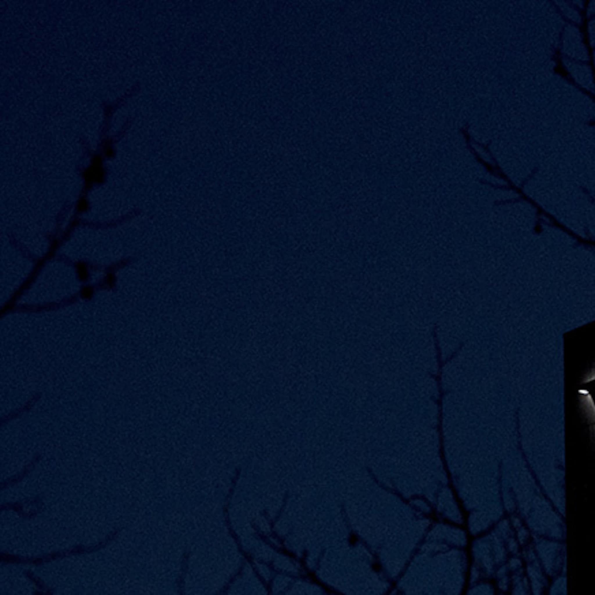 hele vrachtwagens vol knaapjes naar shredder