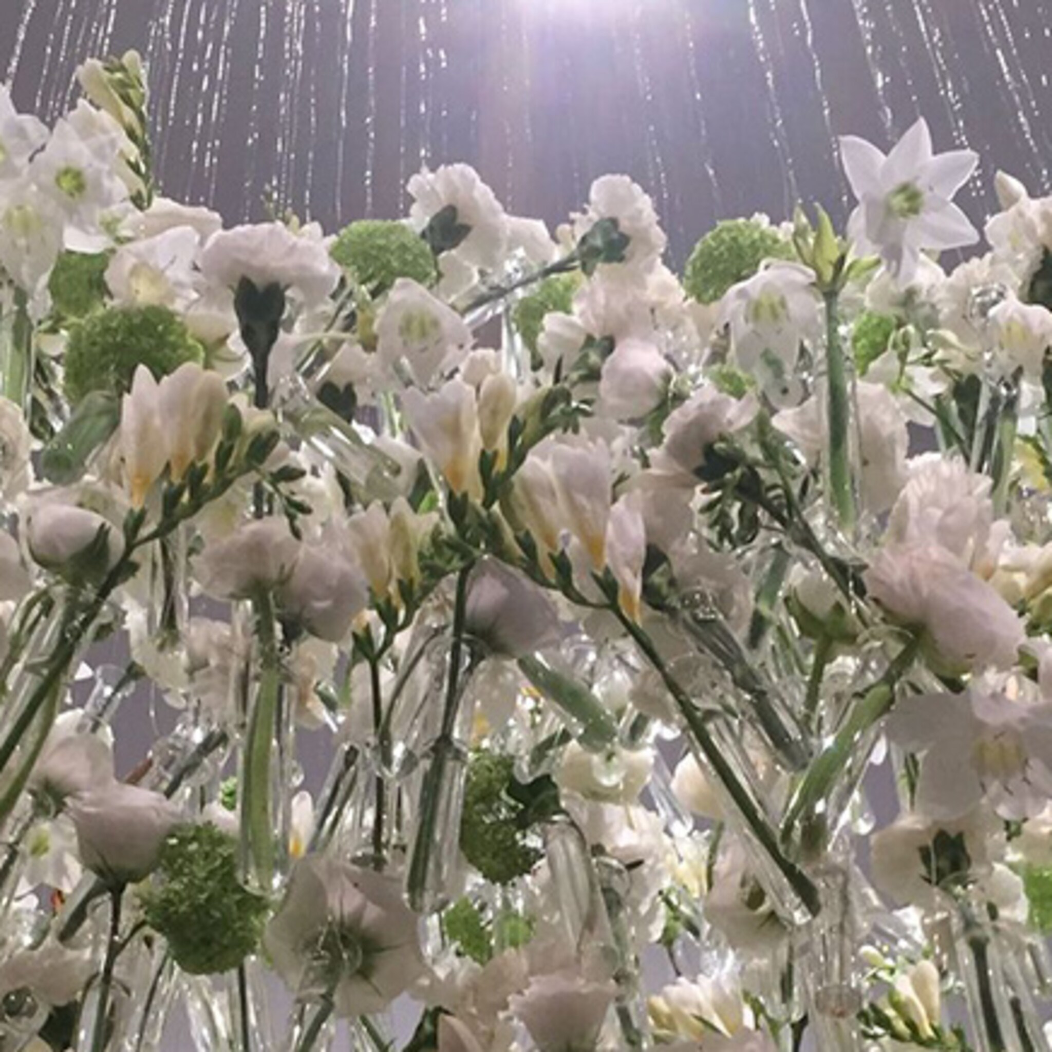 metershoge bloemstukken van deventers bedrijf straks in new york