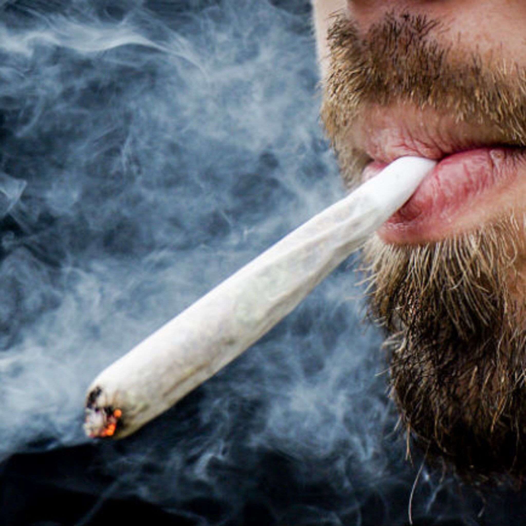 high life wil coffeeshop beginnen aan voet zeelandbrug bij zierikzee