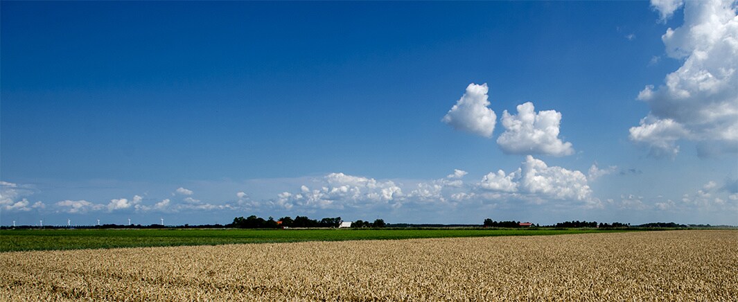 beeld deondernemer