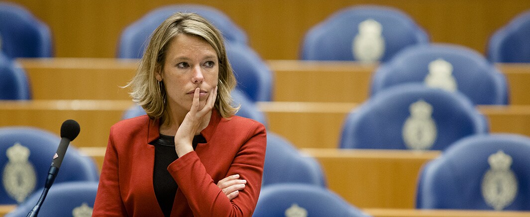 beeld deondernemer