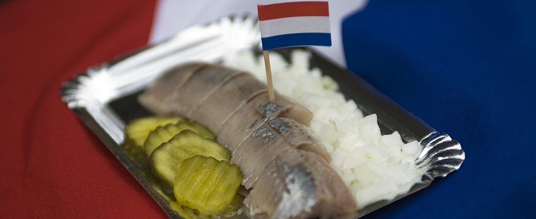 beeld deondernemer