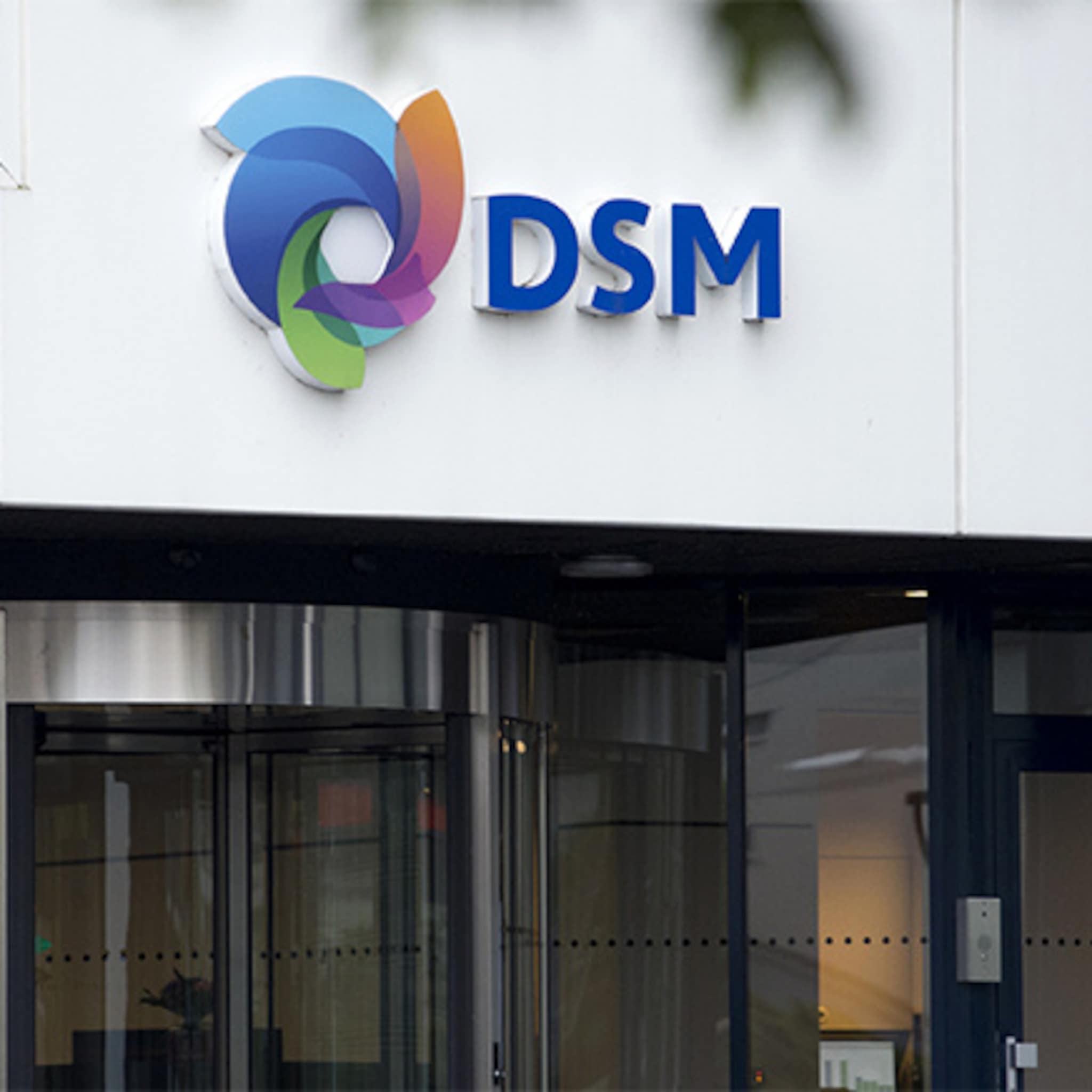 dsm krijgt kleur op de wangen
