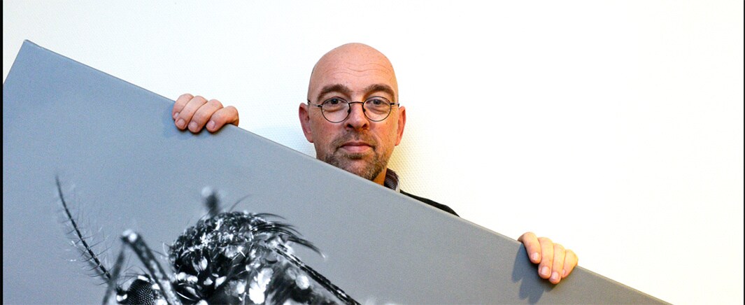 beeld deondernemer