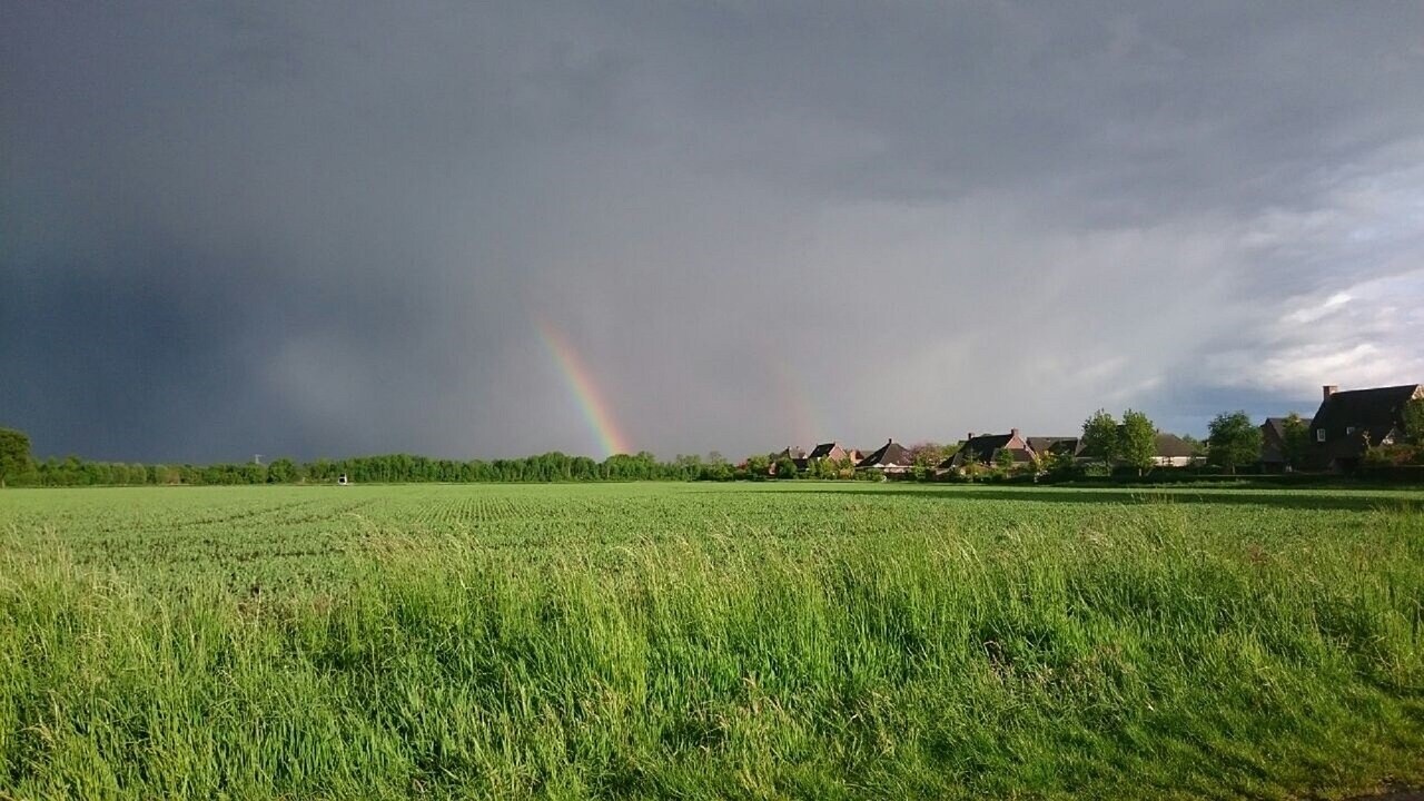 beeld deondernemer