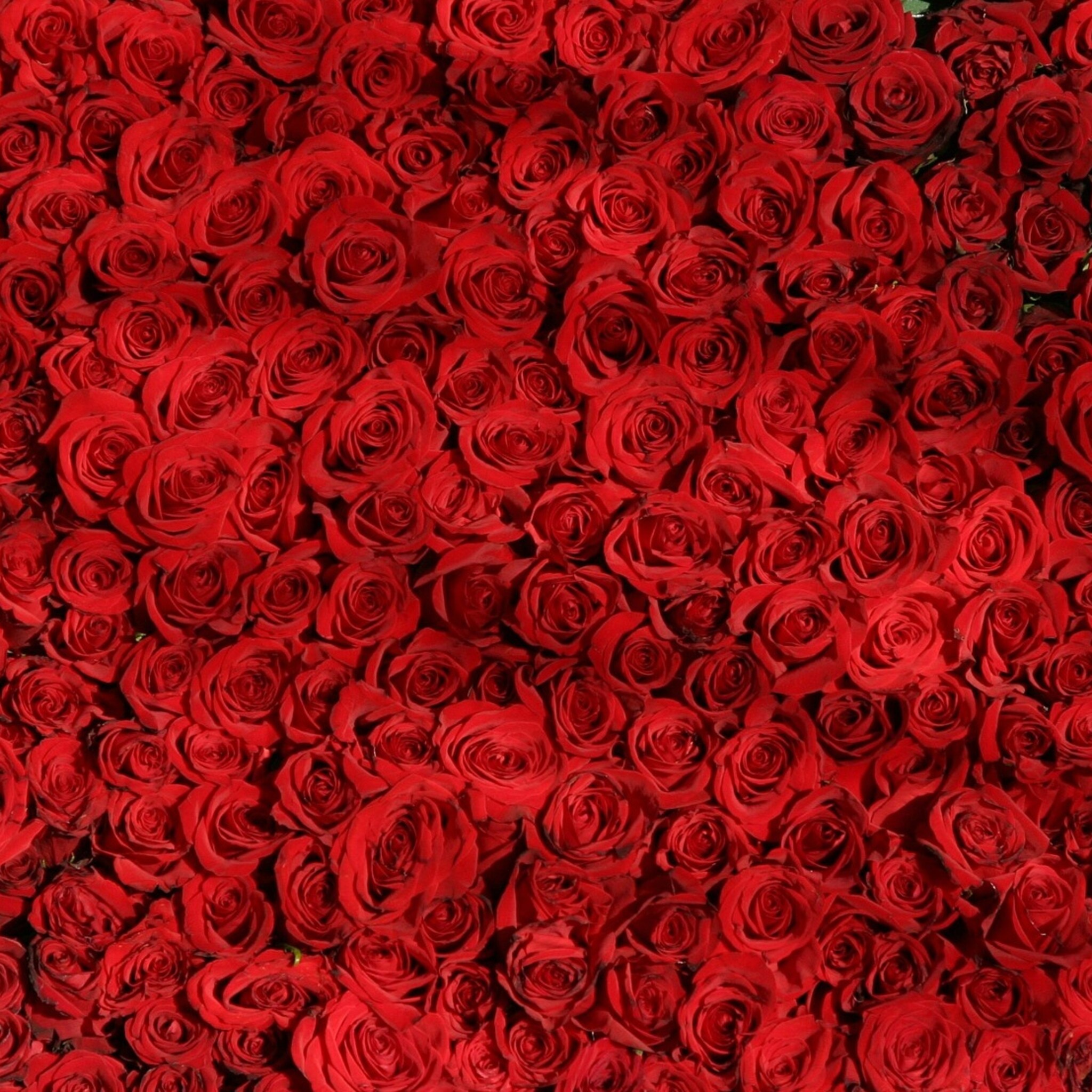 goed voor de dag tijdens valentijn