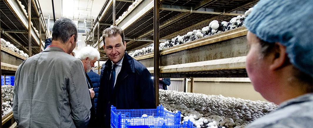 beeld deondernemer