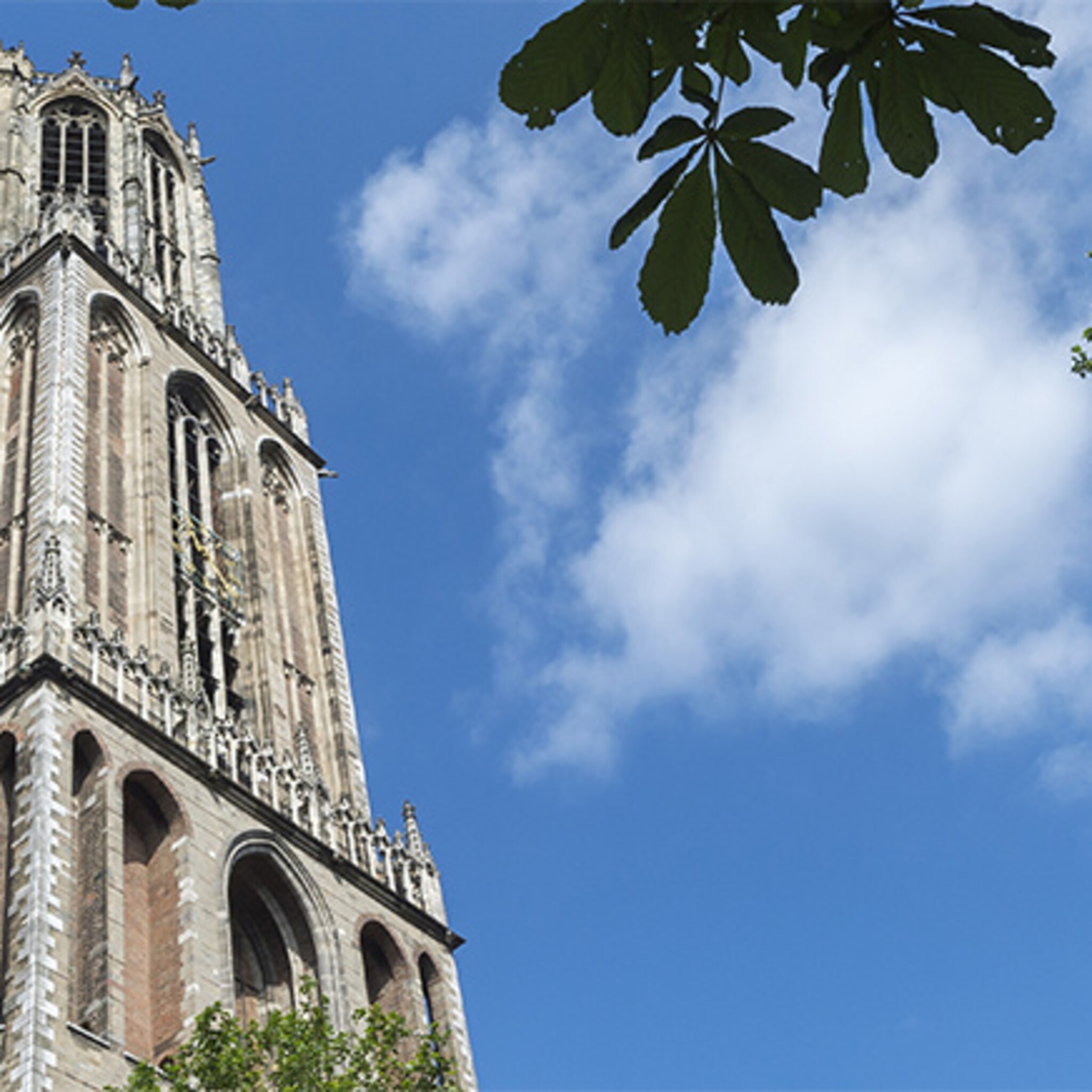 aziaten azen op utrecht
