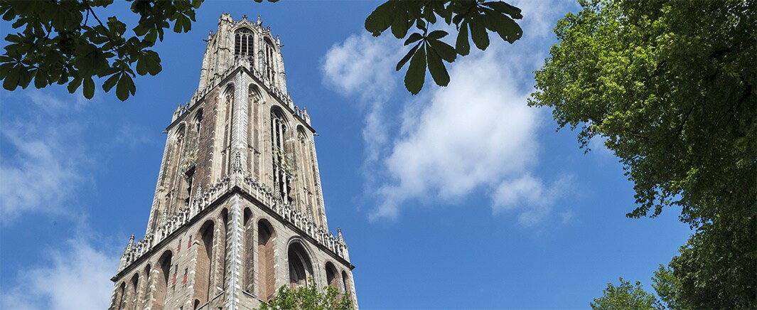 beeld deondernemer