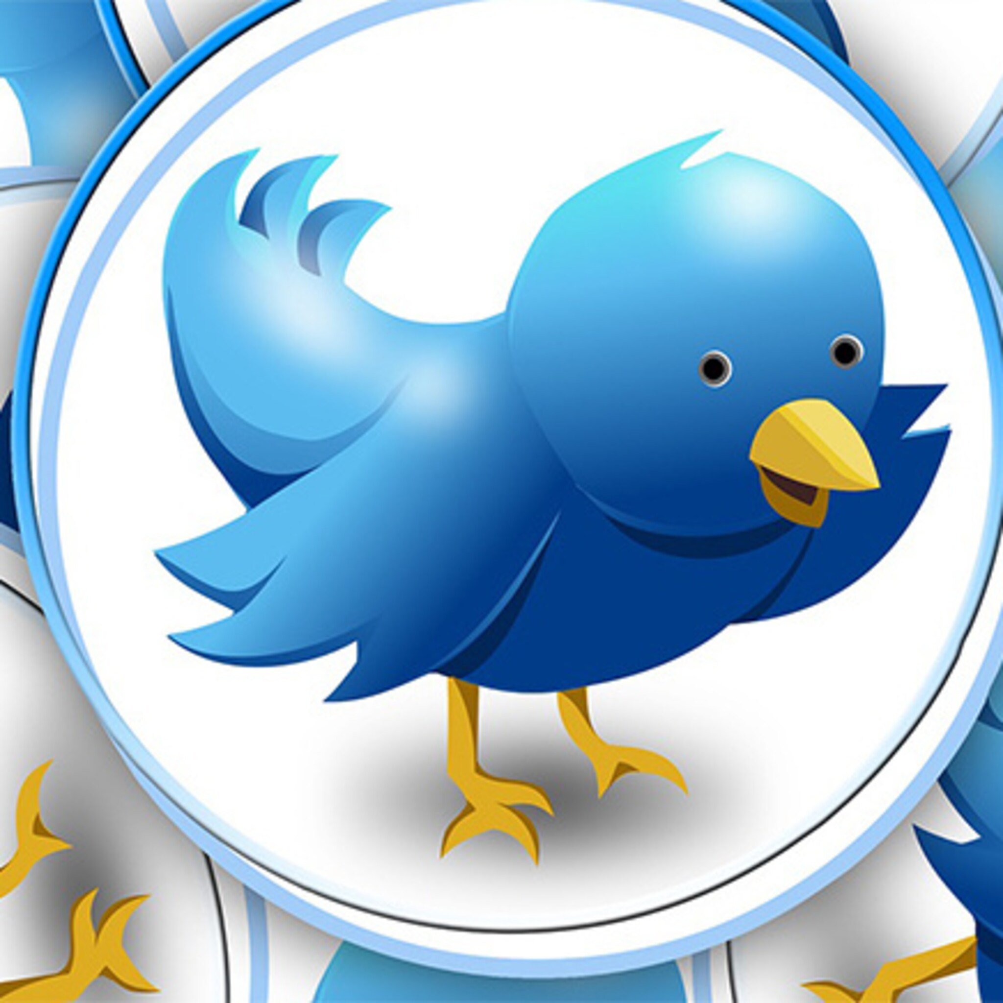 nederland is uitgetwitterd