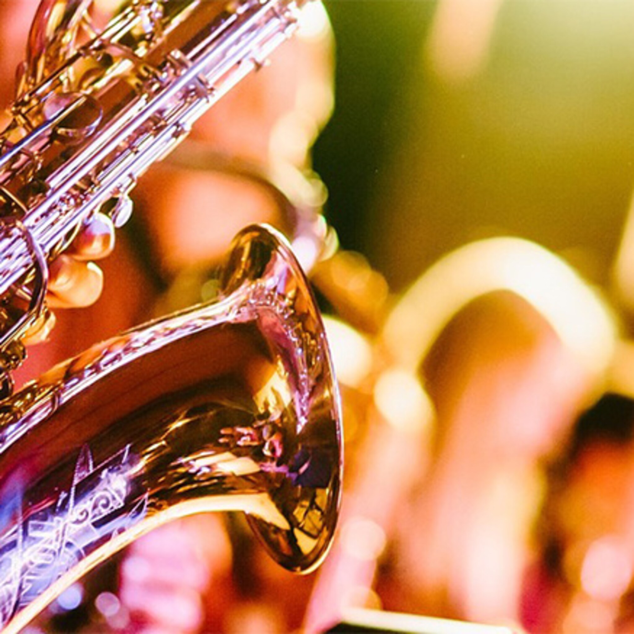 topjaar nederlandse muziek