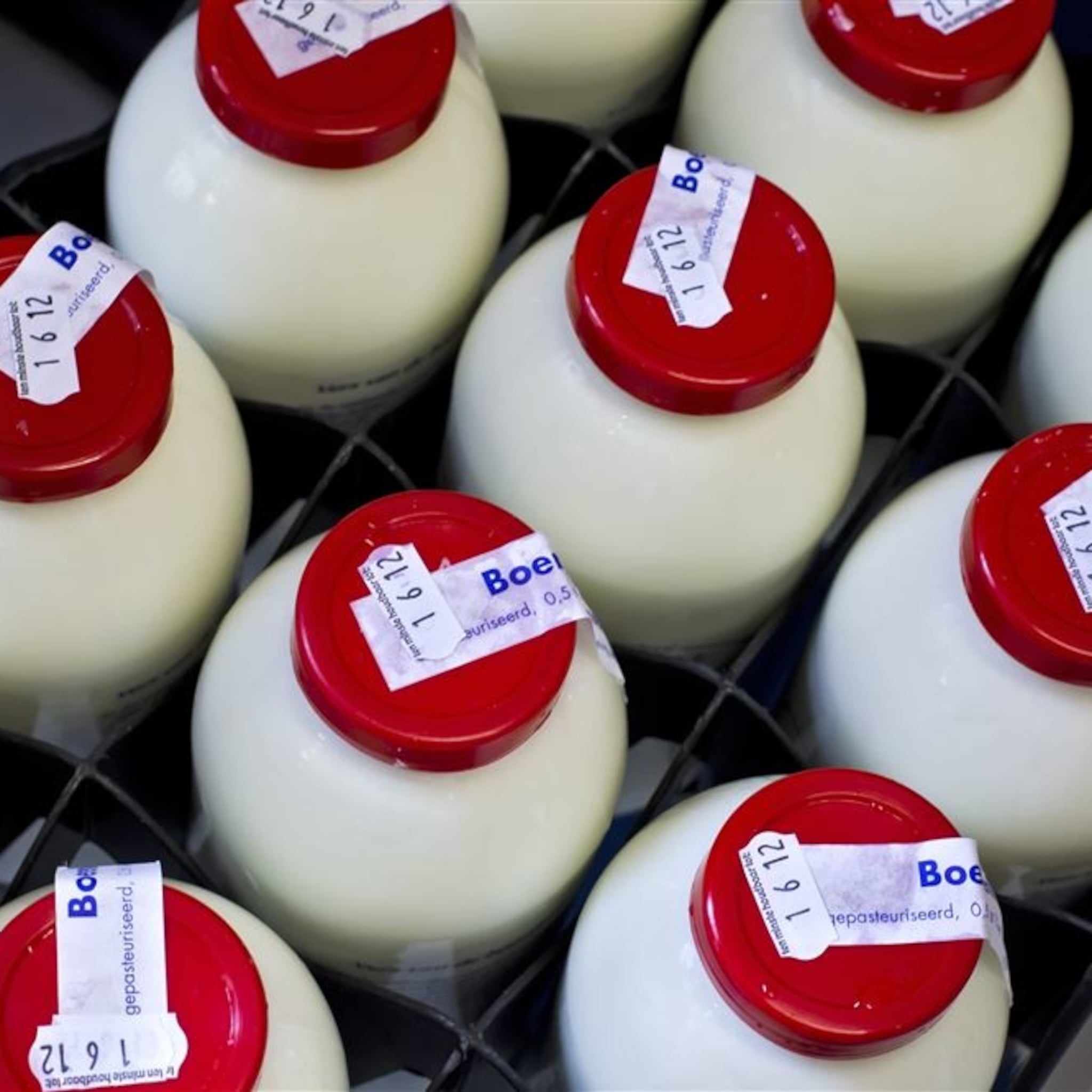 producten rauwpower in juni in winkel te koop
