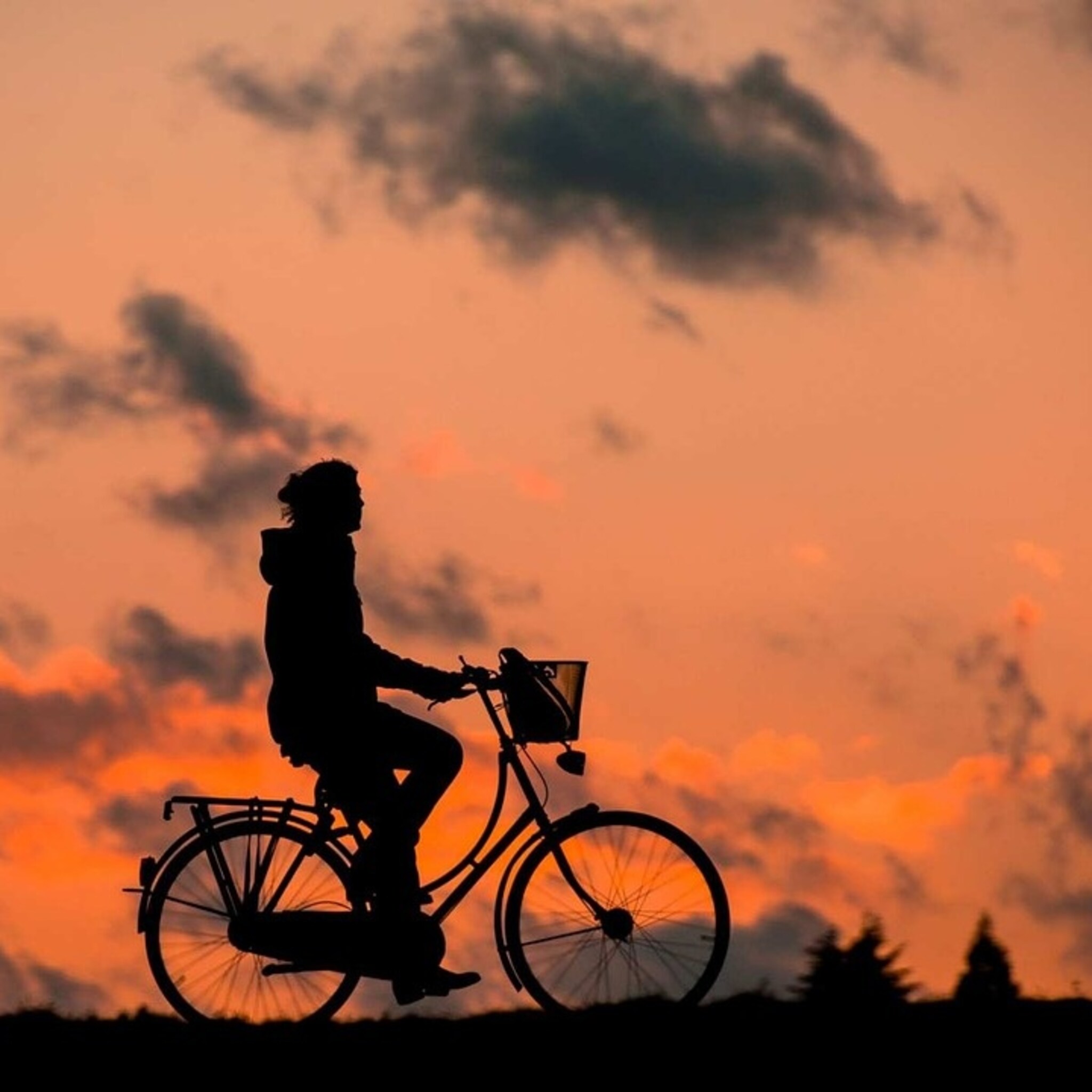 miljoenen om forenzen op de e fiets te krijgen tussen deventer en apeldoorn