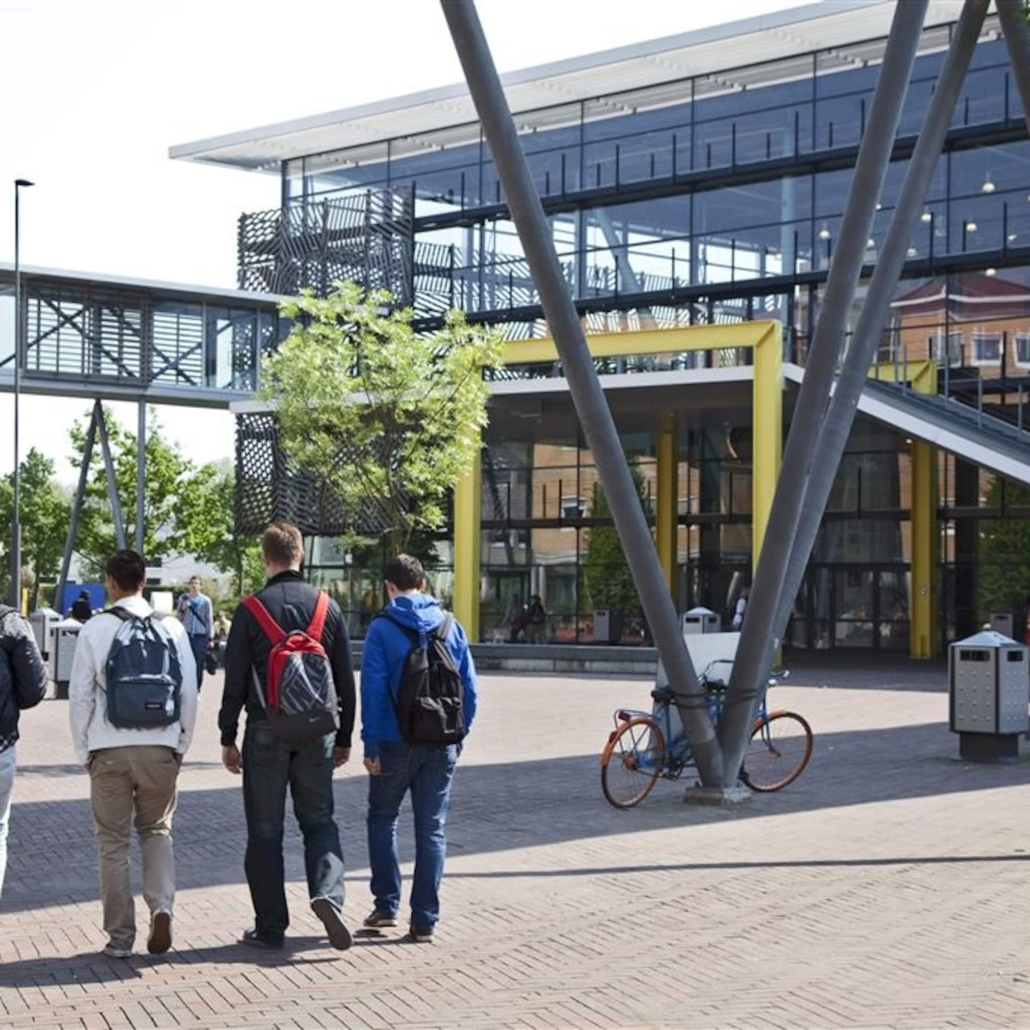 werkervaringsplekken voor vluchtelingen bij windesheim zwolle