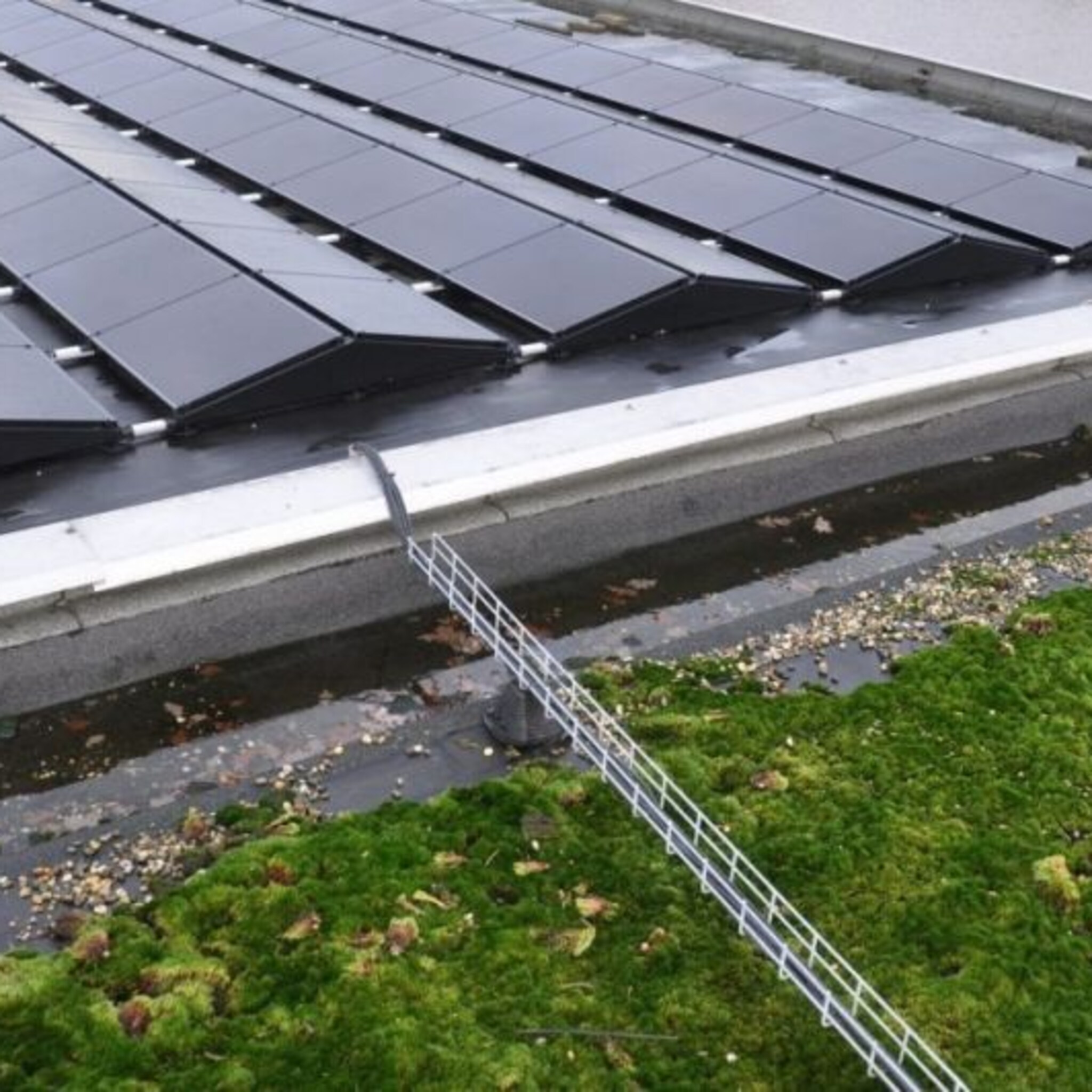 tonzon in enschede neemt eigen zonnecentrale in gebruik
