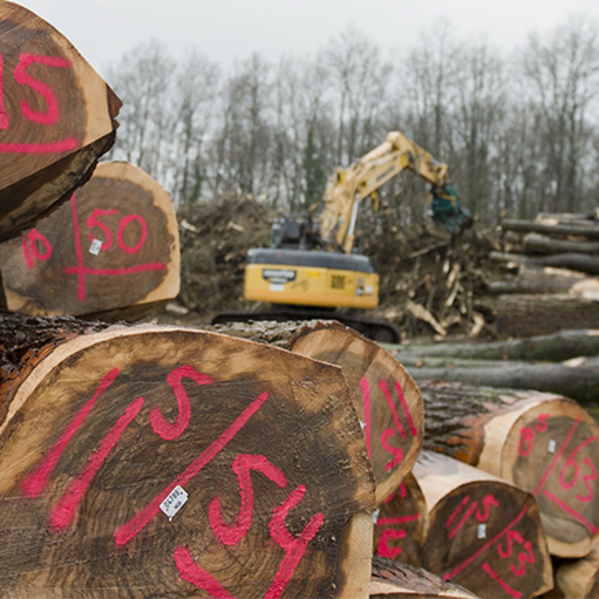 van boxtel naar china