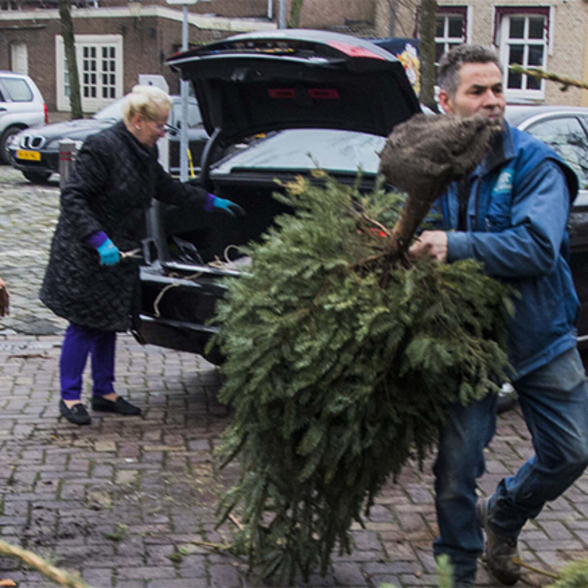 sterk staaltje ondernemersgeest