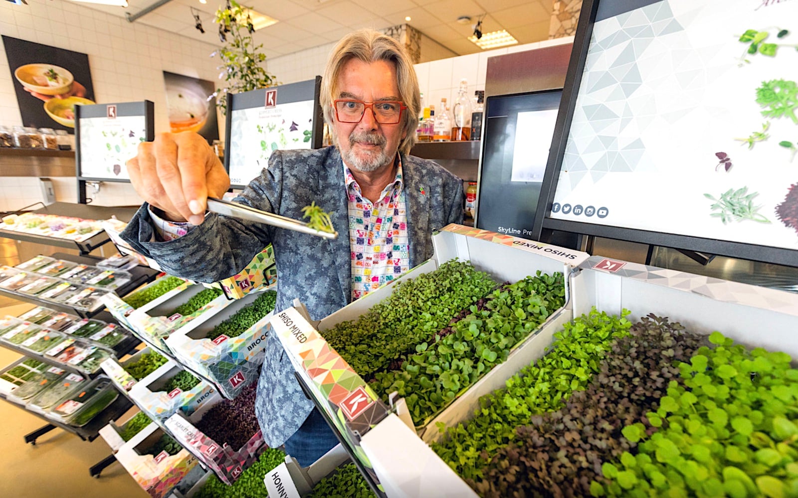 Rob Baan, directeur van Koppert Cress. Foto: Nico Schouten Rob Baan, directeur van Koppert Cress. Foto: AD/Nico Schouten.