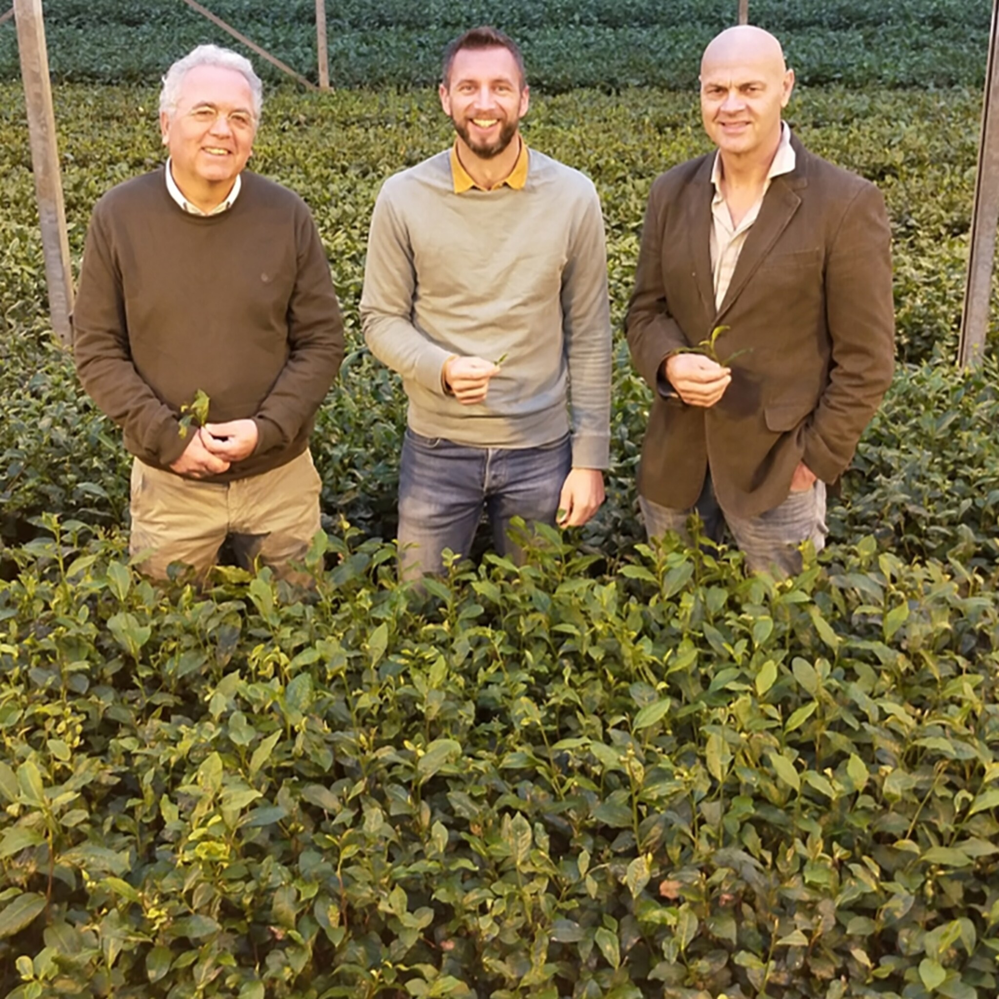 oprichters de vegetarische slager gaan samenwerking aan met tea by me