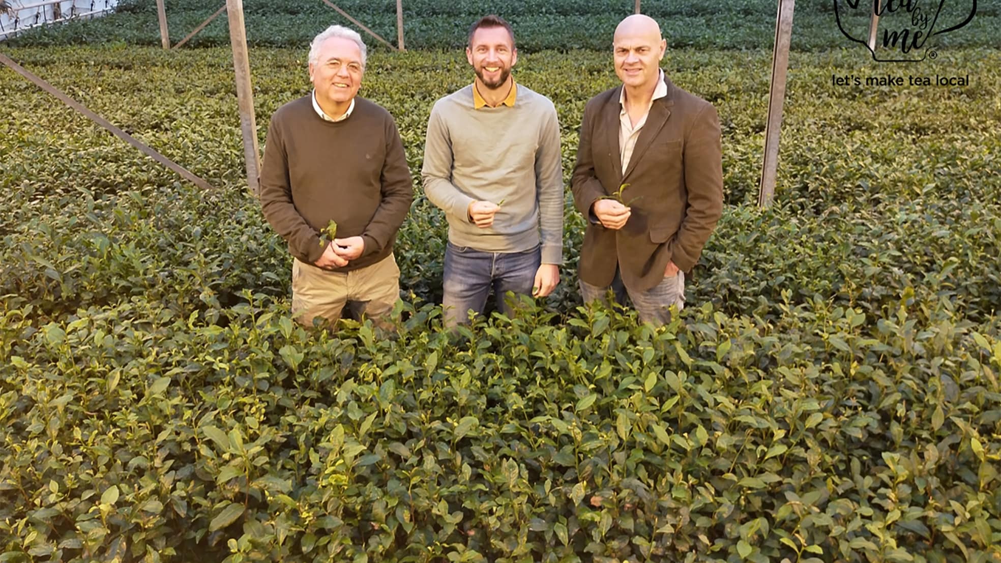 Van links naar rechts: Niko Koffeman, Johan Jansen en Jaap Korteweg.