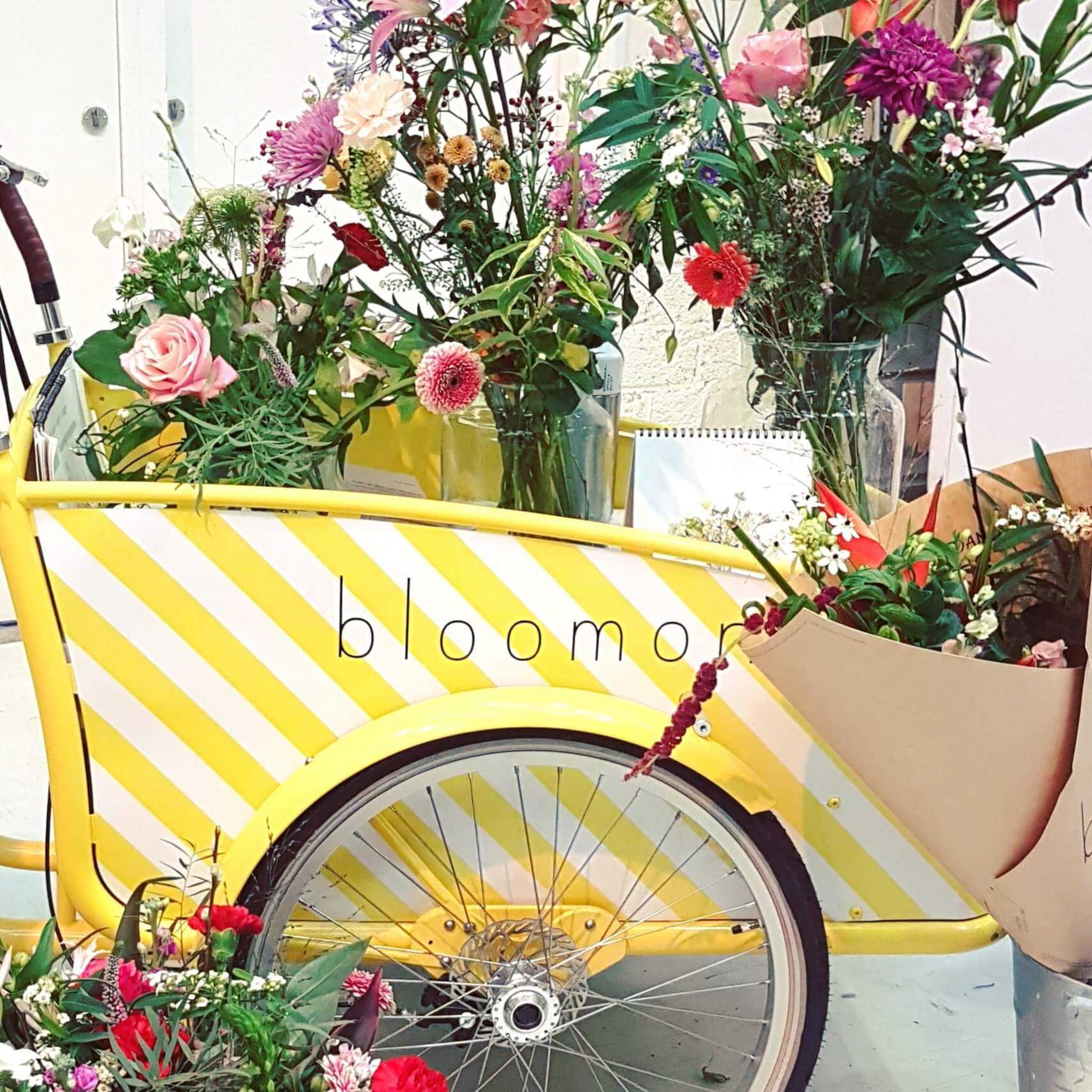 waarom bloomon alle 160 medewerkers laat kiezen op het goodhabitz trainingsplatform