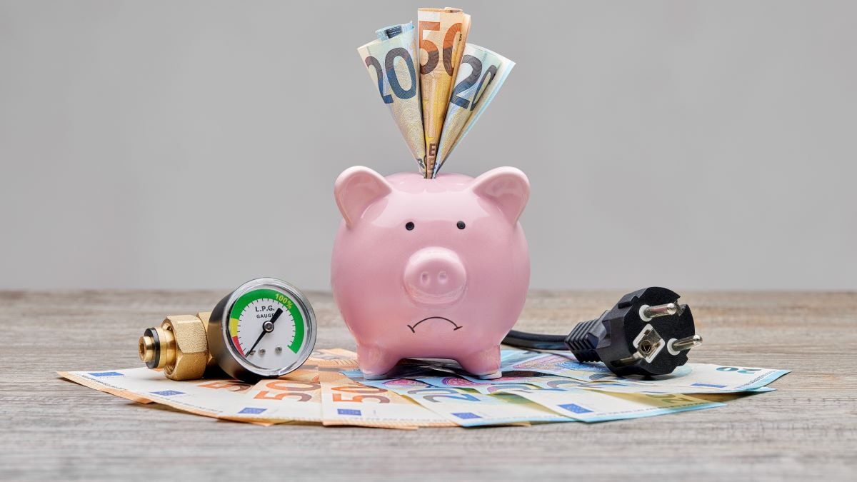 Beeld: Shutterstock
