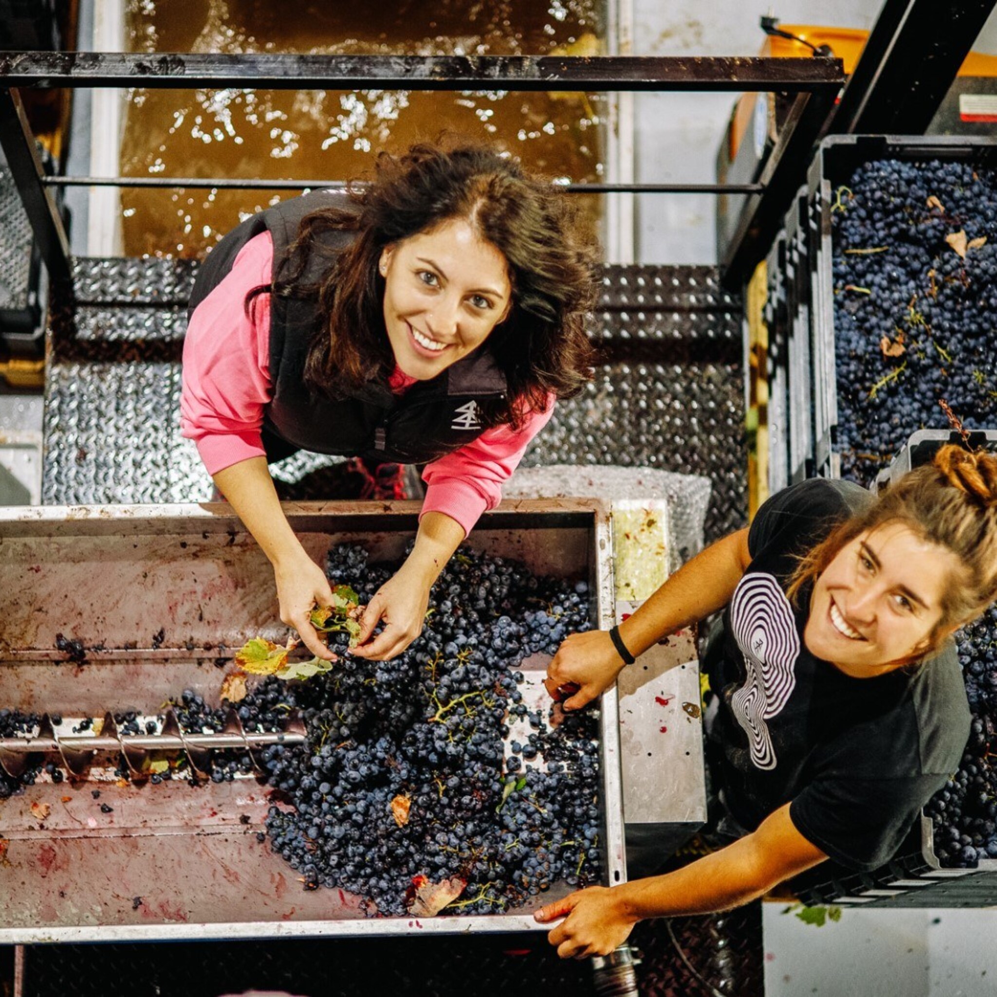 nieuwe sharefunding derrick neleman eigen bottelfabriek in spanje