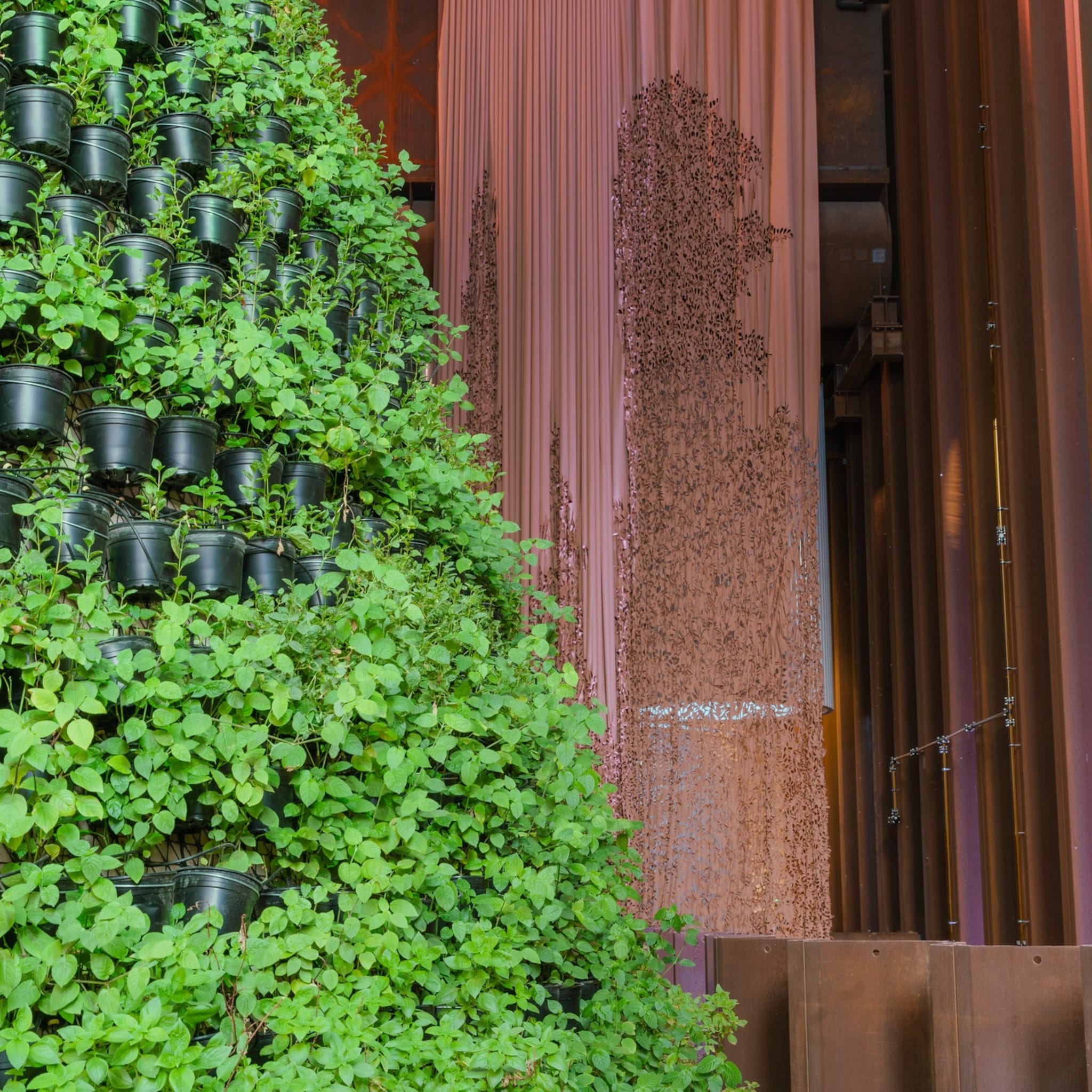 horticultural days op world expo in dubai de ideale springplank voor nederlandse glastuinbouw in de golfregio