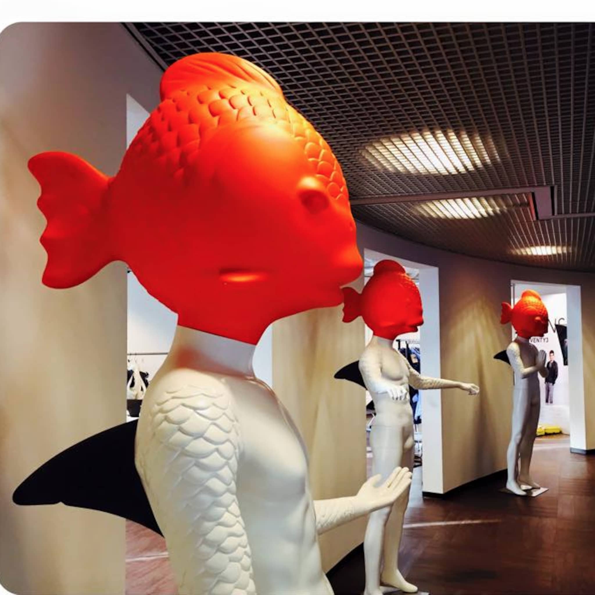 rob schalker na 10 jaar a fish named fred alleen kun je de wedstrijd niet winnen