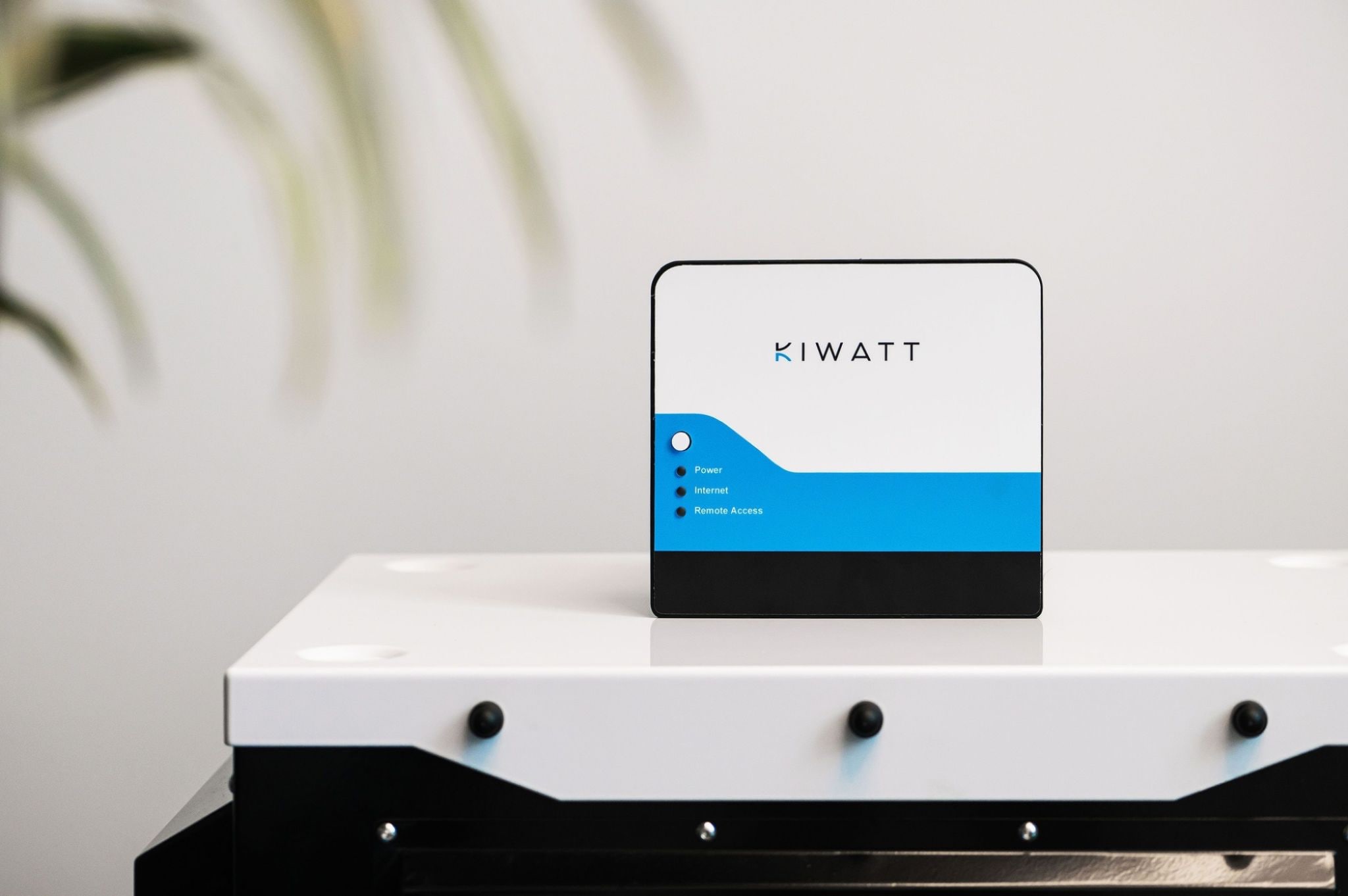 netcongestie of overbelasting het nederlandse kiwatt heeft de oplossing