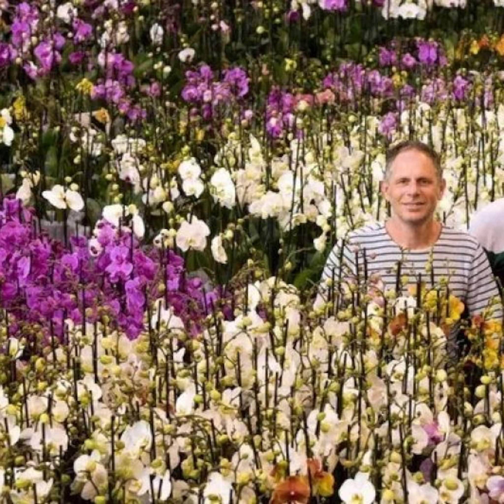 orchideeentelers van alle tuinders het hardst getroffen door hoge energieprijzen