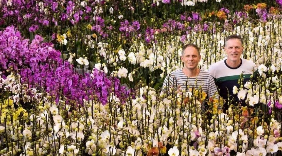 Richard ter Laak (links), samen met broer Eduard tussen de orchideeën bij Ter Laak Orchids in Wateringen. Foto: Jacques Zorgman