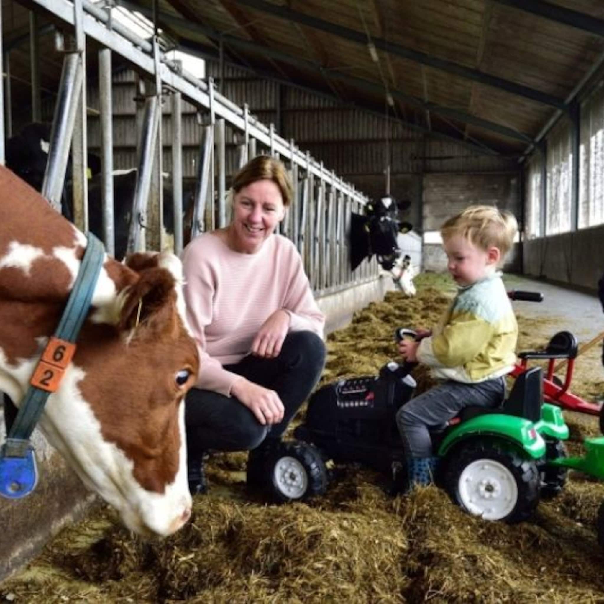 steeds meer boeren houden naast koeien en varkens ook kinderen boerderijcreche is booming
