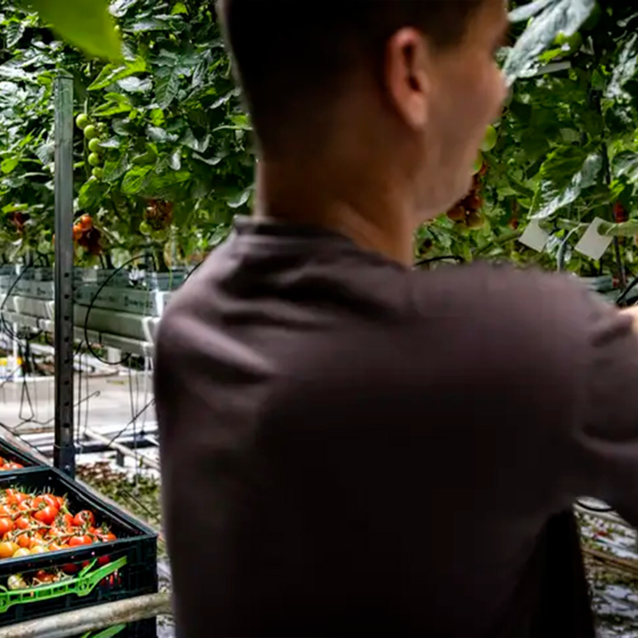 experts inflatie en prijzenslag om personeel bij rem op arbeidsmigratie