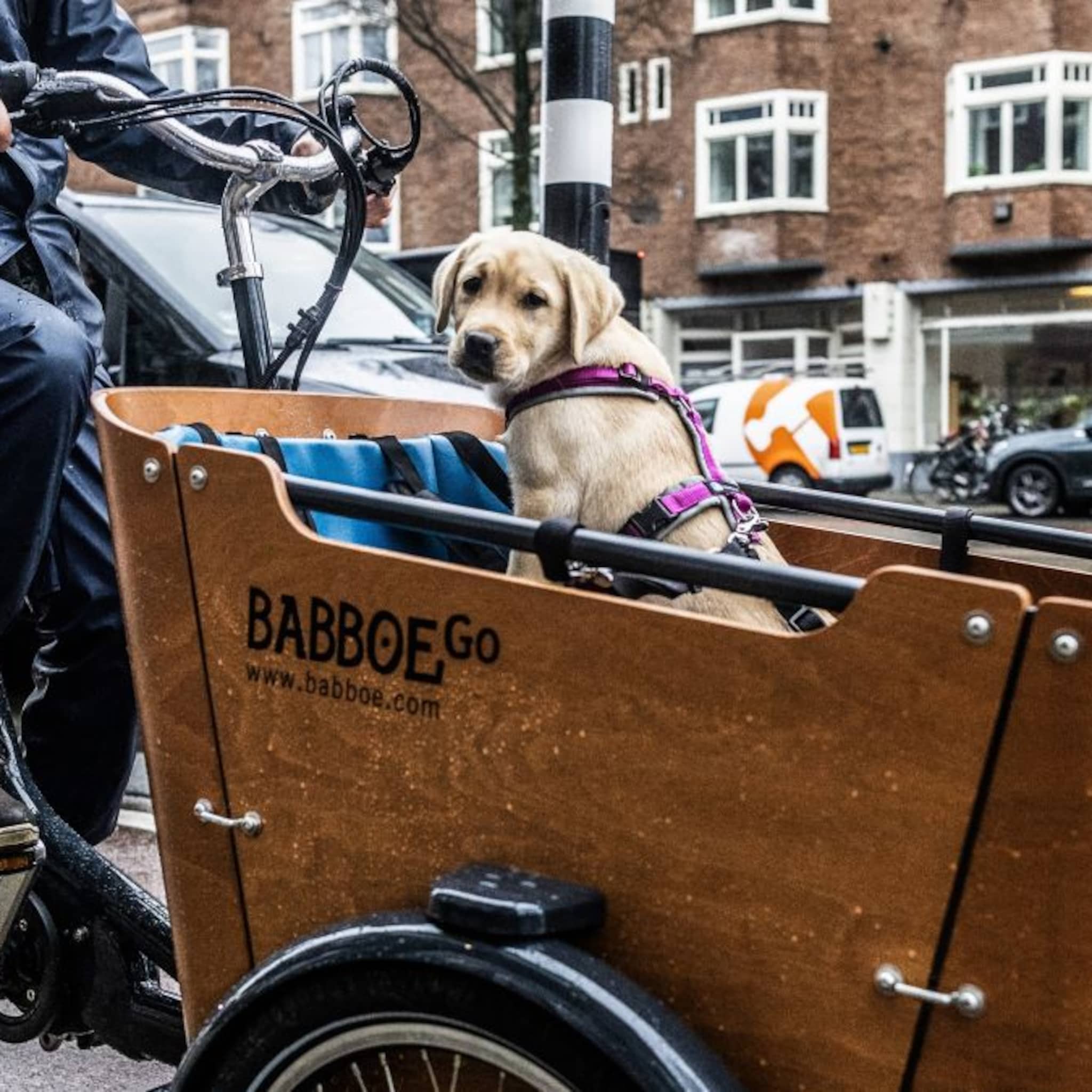niet liegen en ontkennen dit moet je wel doen als je merk imagoschade lijdt