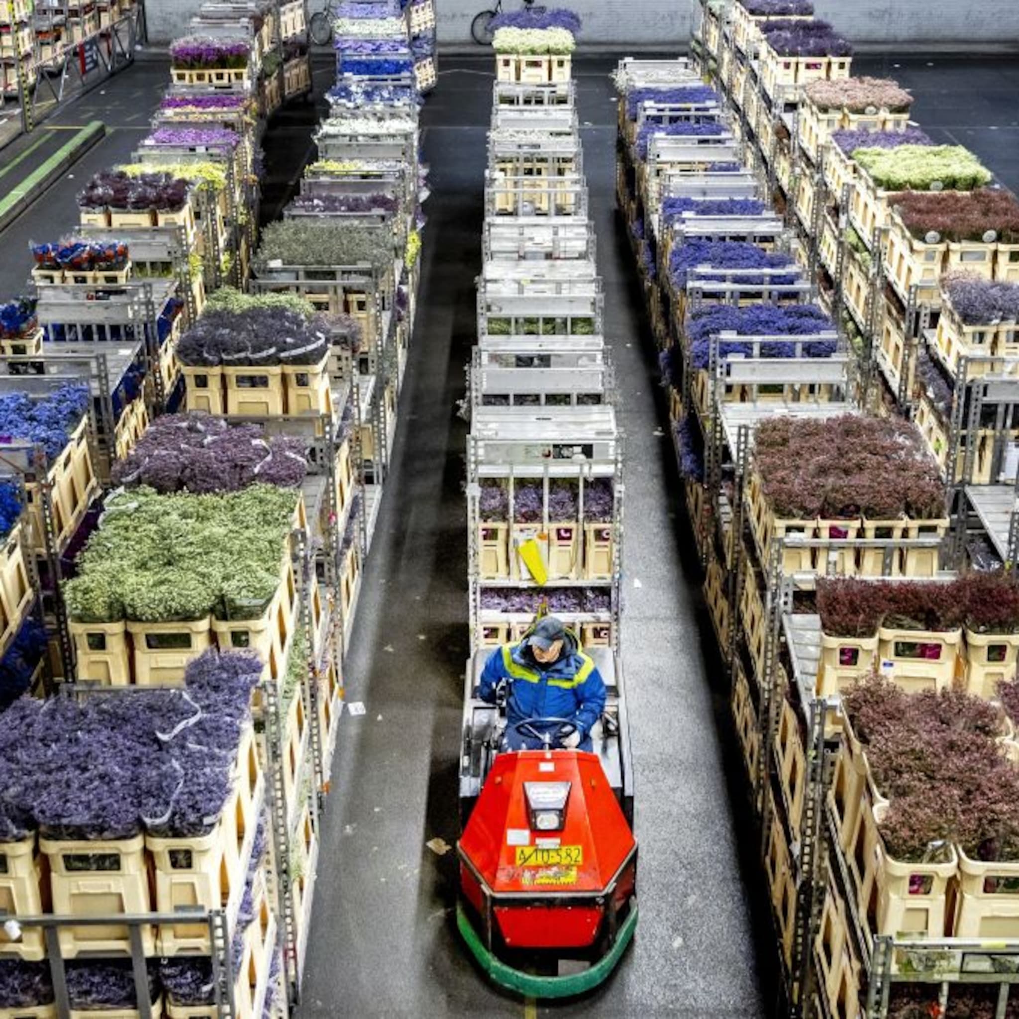 3 1 procent omlaag daling nederlandse export zet door