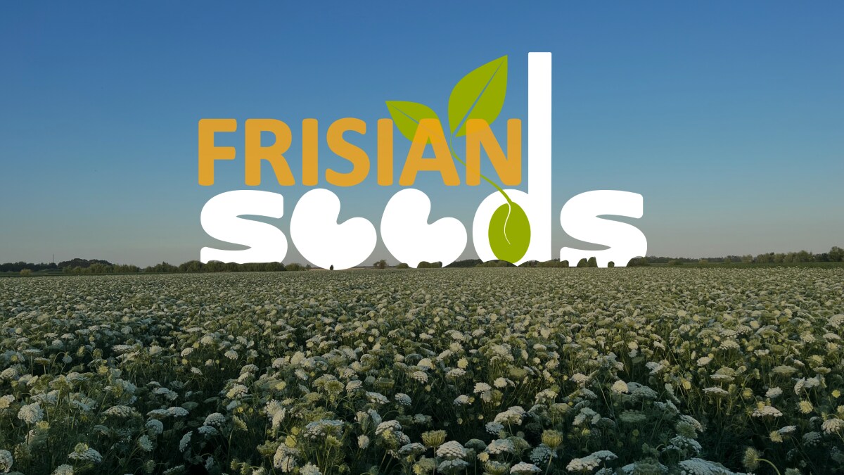 focus op internationale expansie hoe frisian seeds lokaal impact wil maken