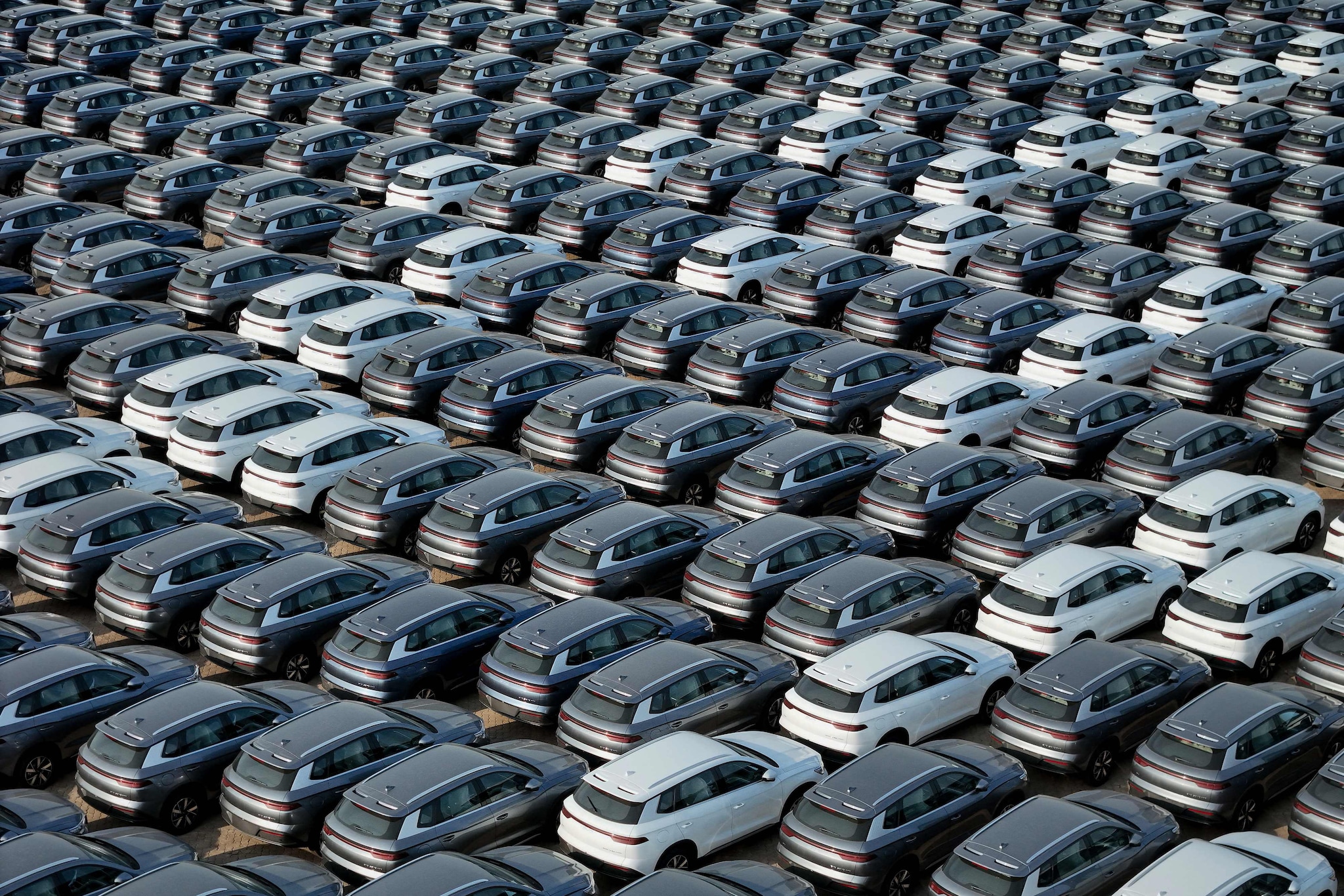 Elektrische auto's van het Chinese merk BYD staan te wachten op transport in de haven. AFP