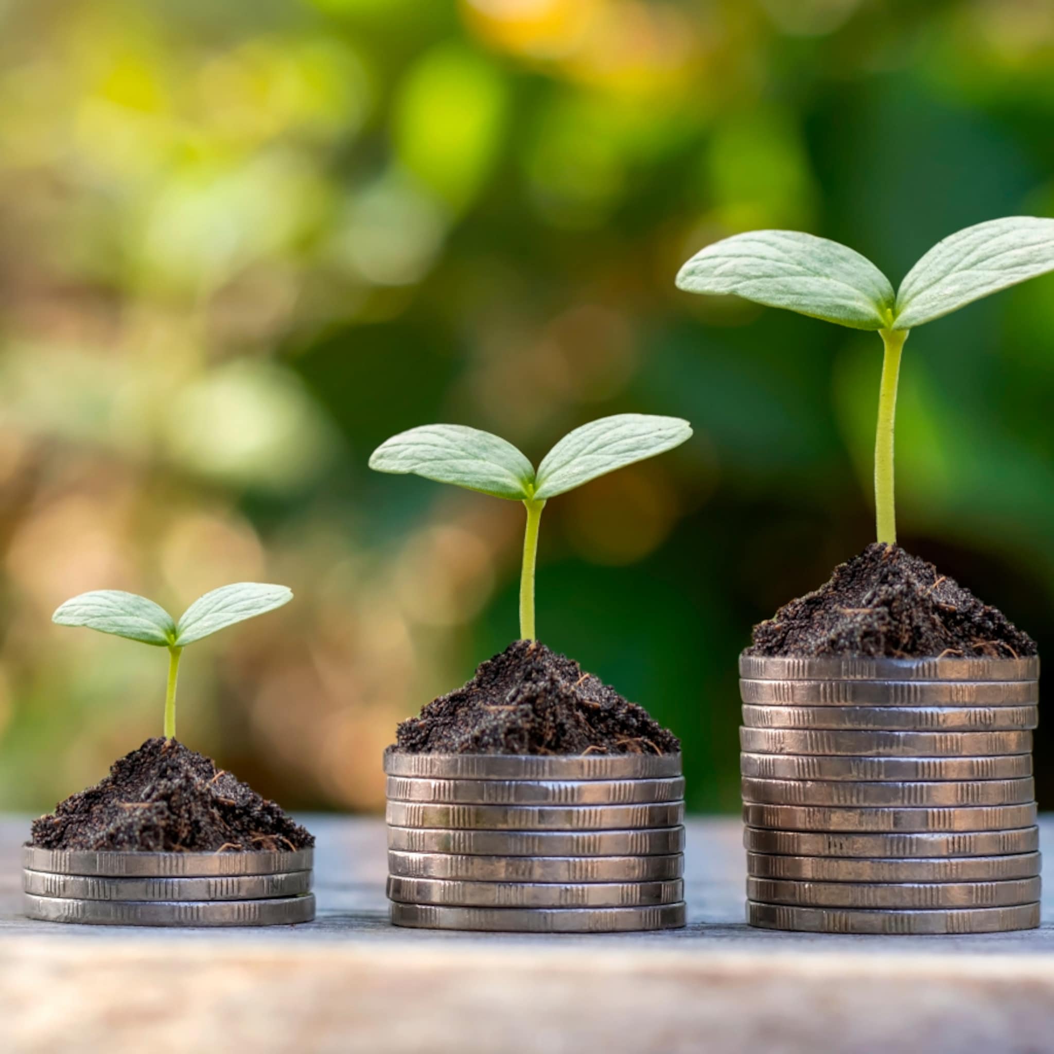 edwin van der geest duurzaam ondernemen state of impact