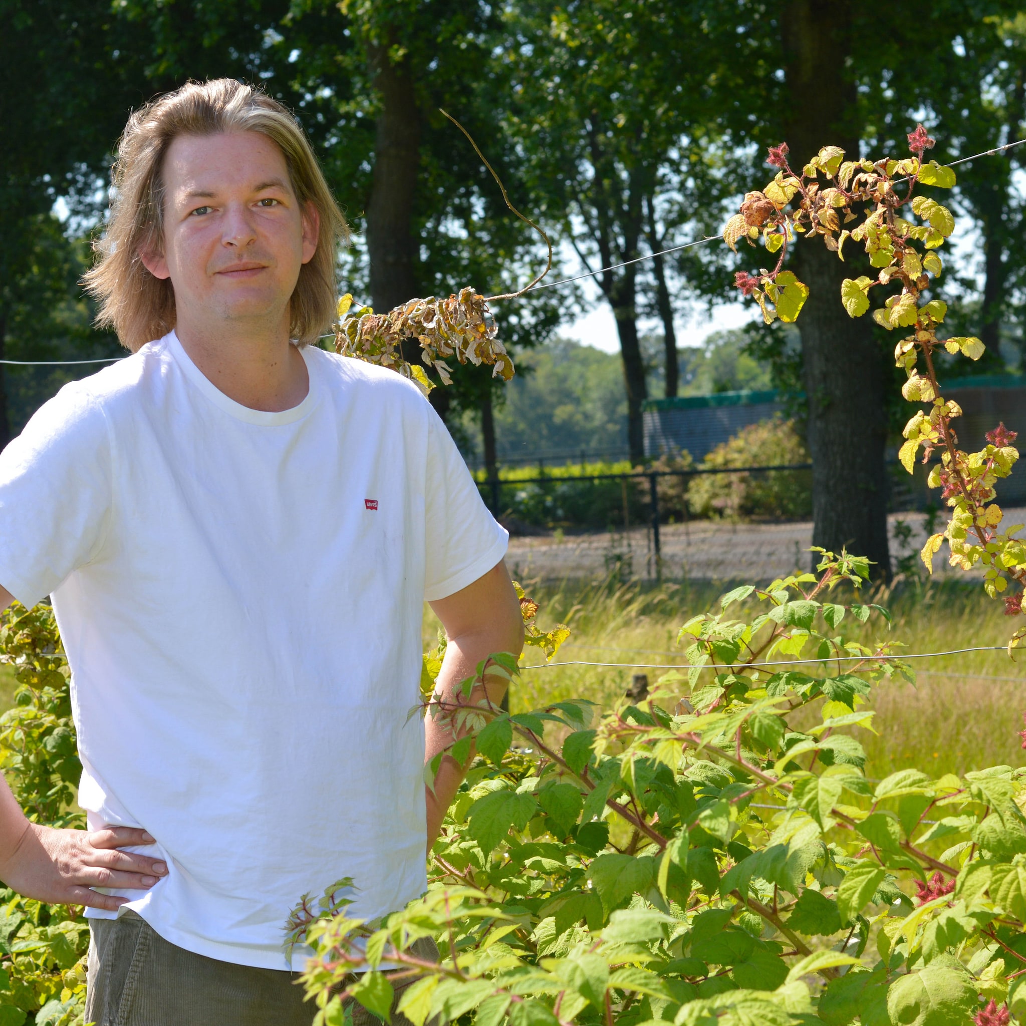 daan brouwer restaurant pellens de hofdreven boerderij moestuin