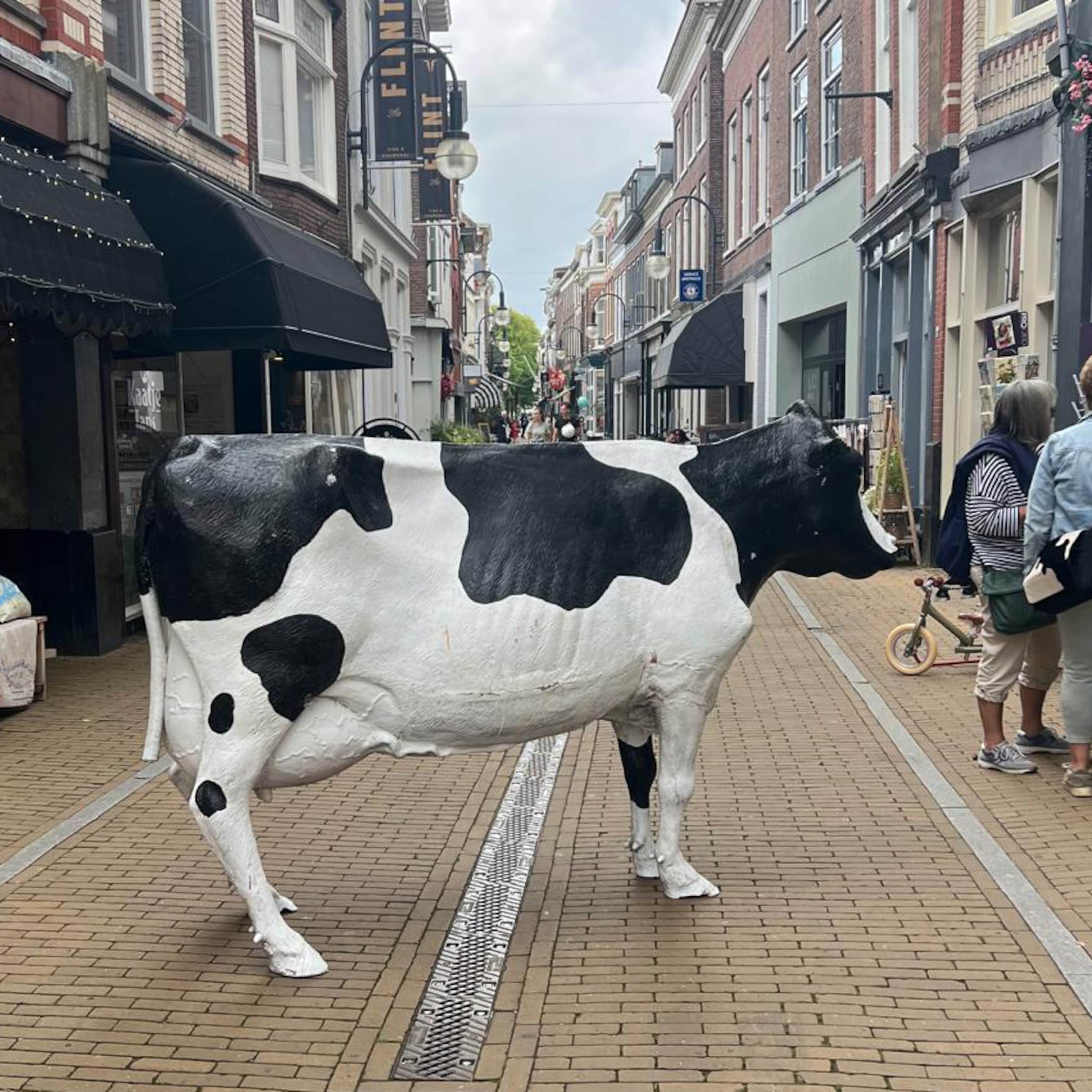 verkeersoverlast retail koe gorinchem