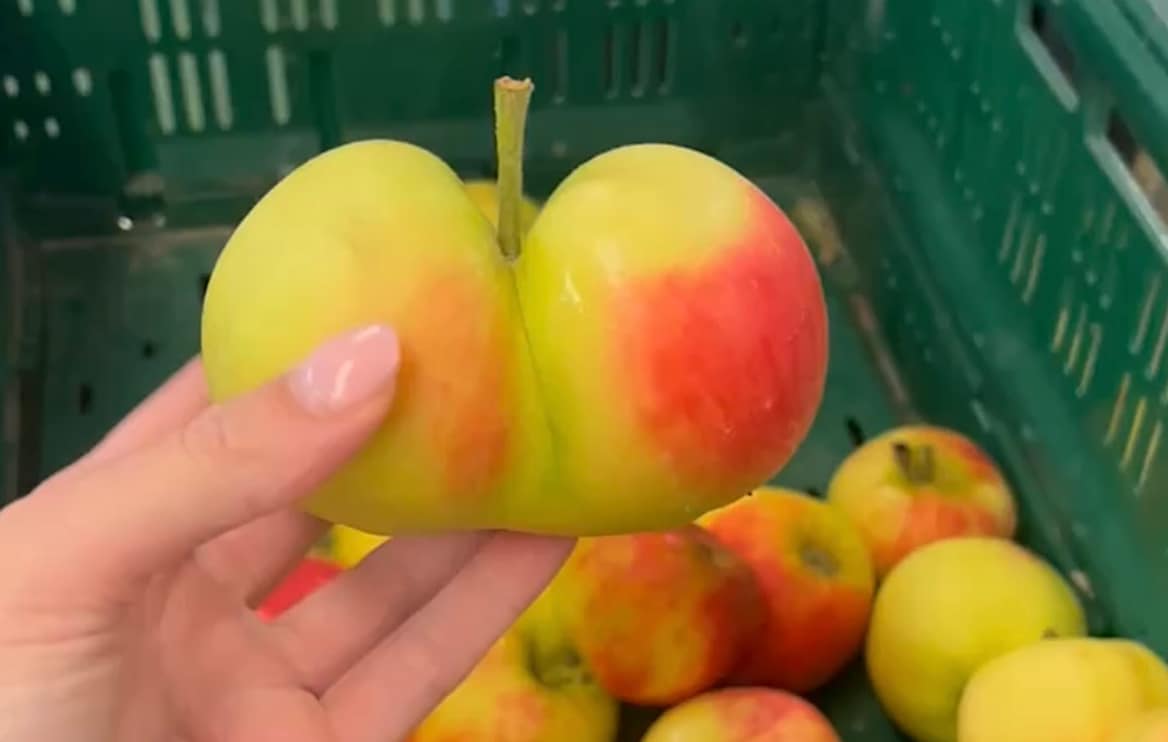 Een appel die de supermarkt niet haalt. Beeld: No Waste Army No Waste Army | Een appel die de supermarkt niet haalt.