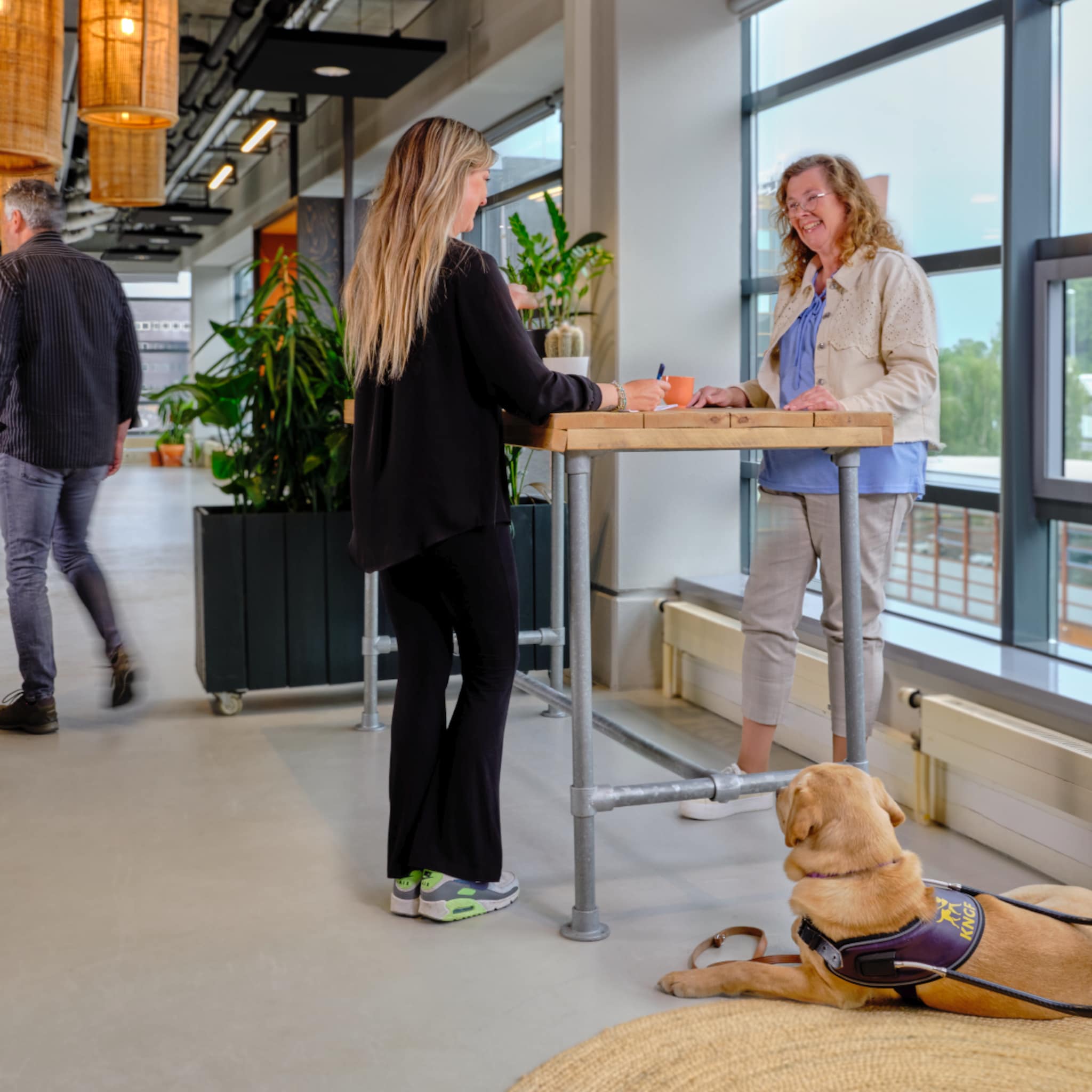 detacheringsbureau ctalents sandra ballij auditieve visuele beperking talent