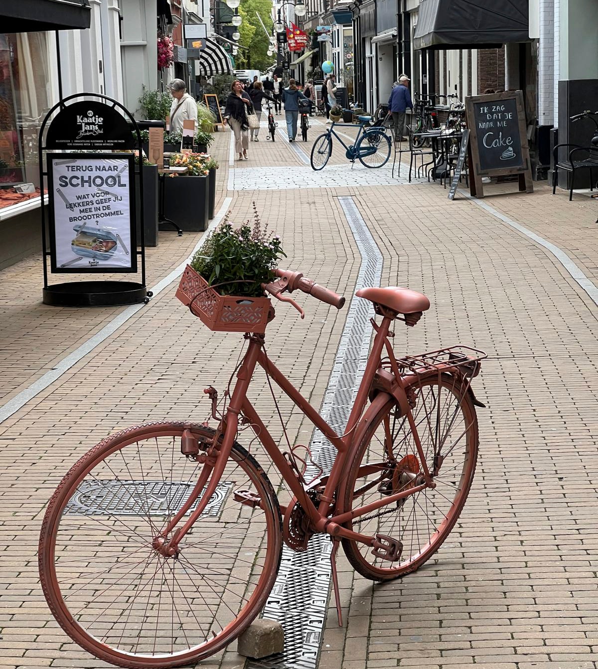 Een fiets dwars op de dijk moet ervoor zorgen dat fatbikerijders afremmen. Beeld: Annemarie Bonefaas - Freubelrijk. Annemarie Bonefaas - Freubelrijk. Een fiets dwars op de dijk moet ervoor zorgen dat fatbikerijders afremmen.